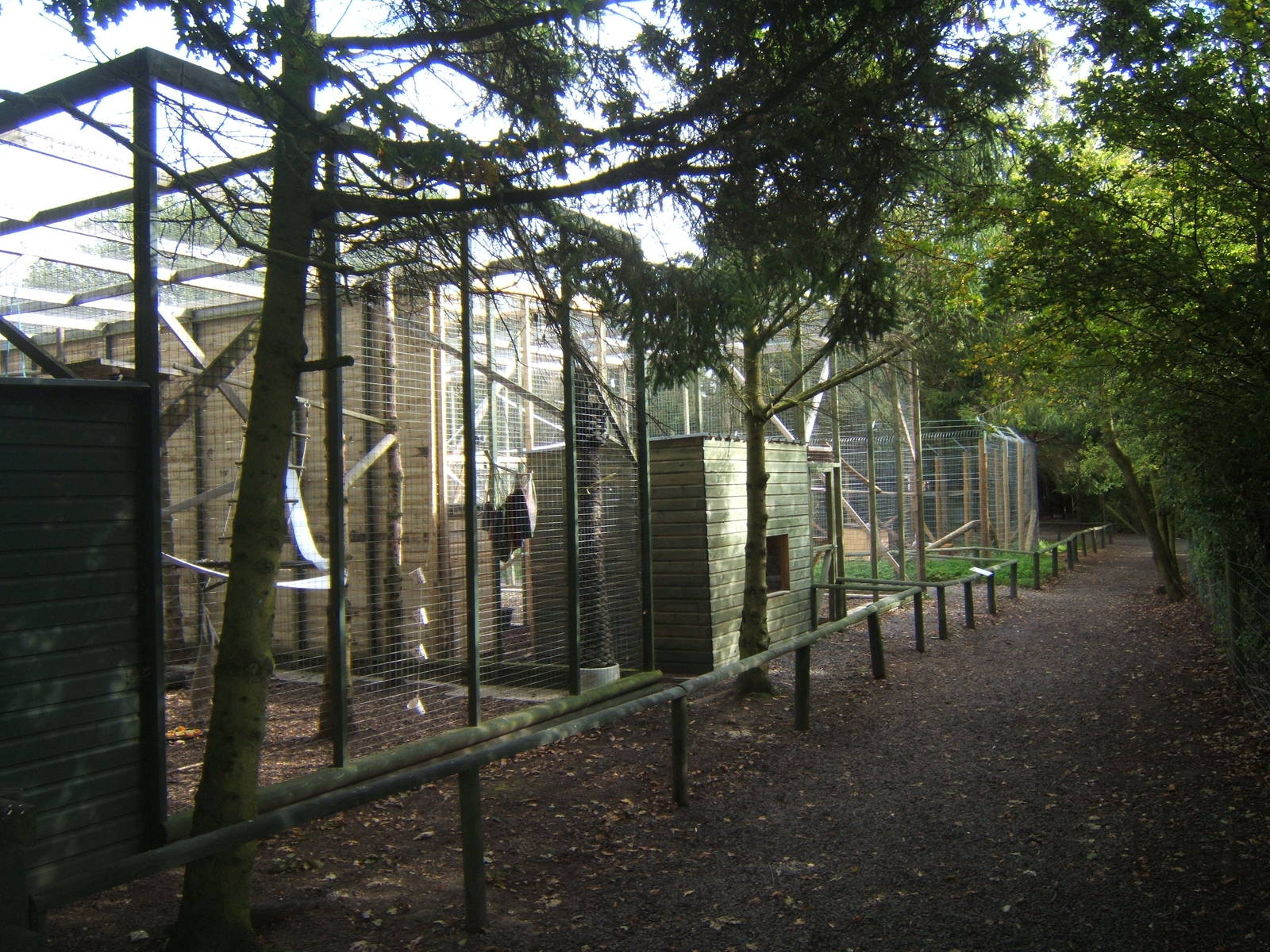 View of 2 Lemur exhibits and new Red Fox exhibit at the end
