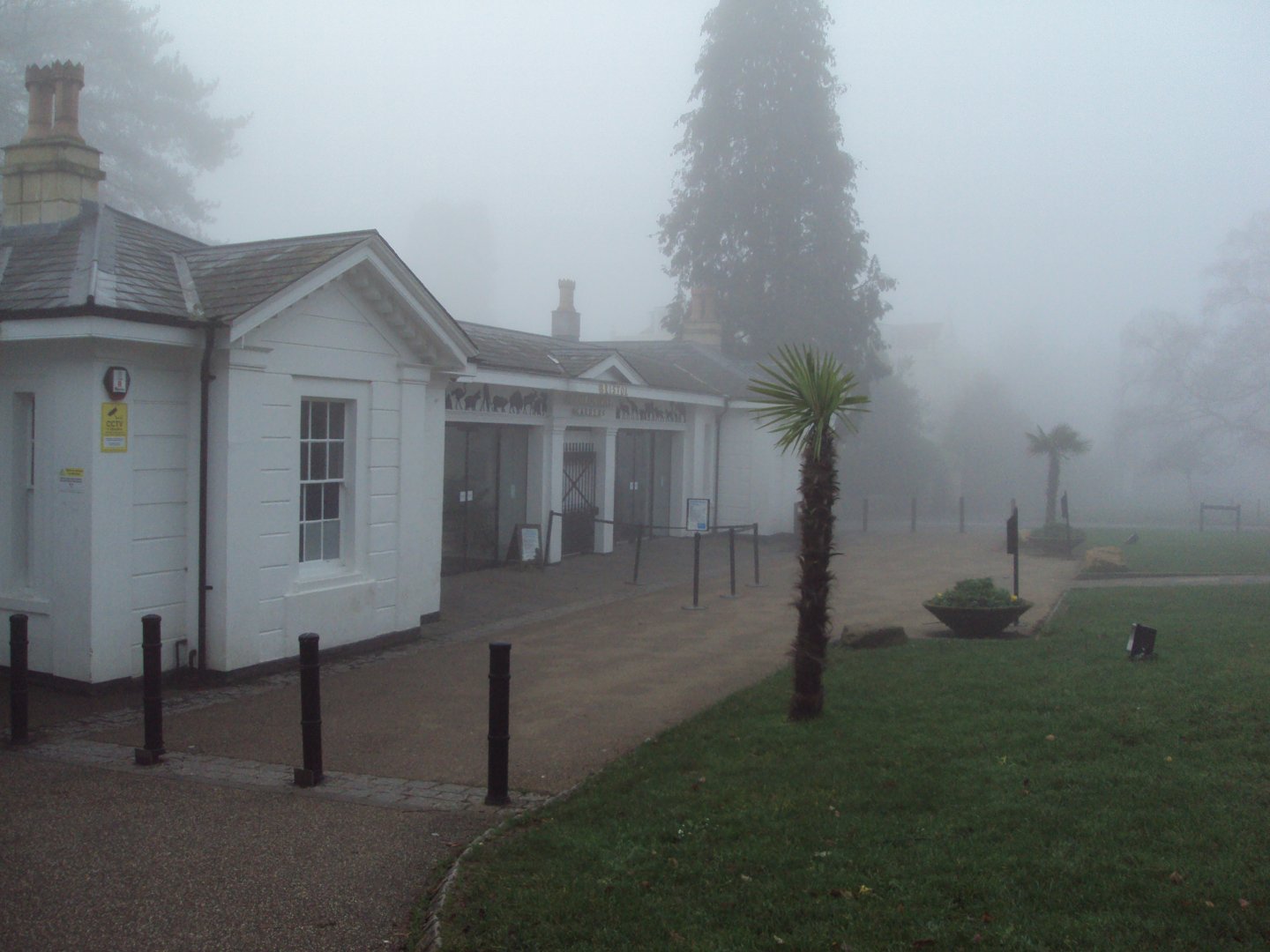 View of a foggy entrance 27/12/2018