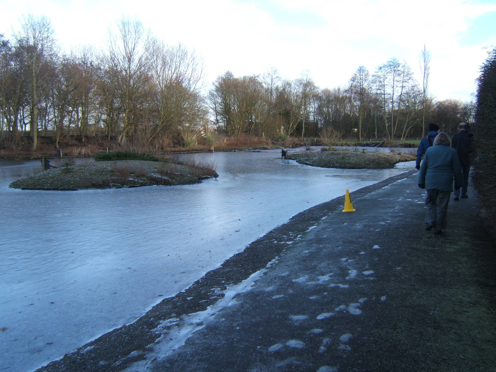 View of a frozen Martin Mere