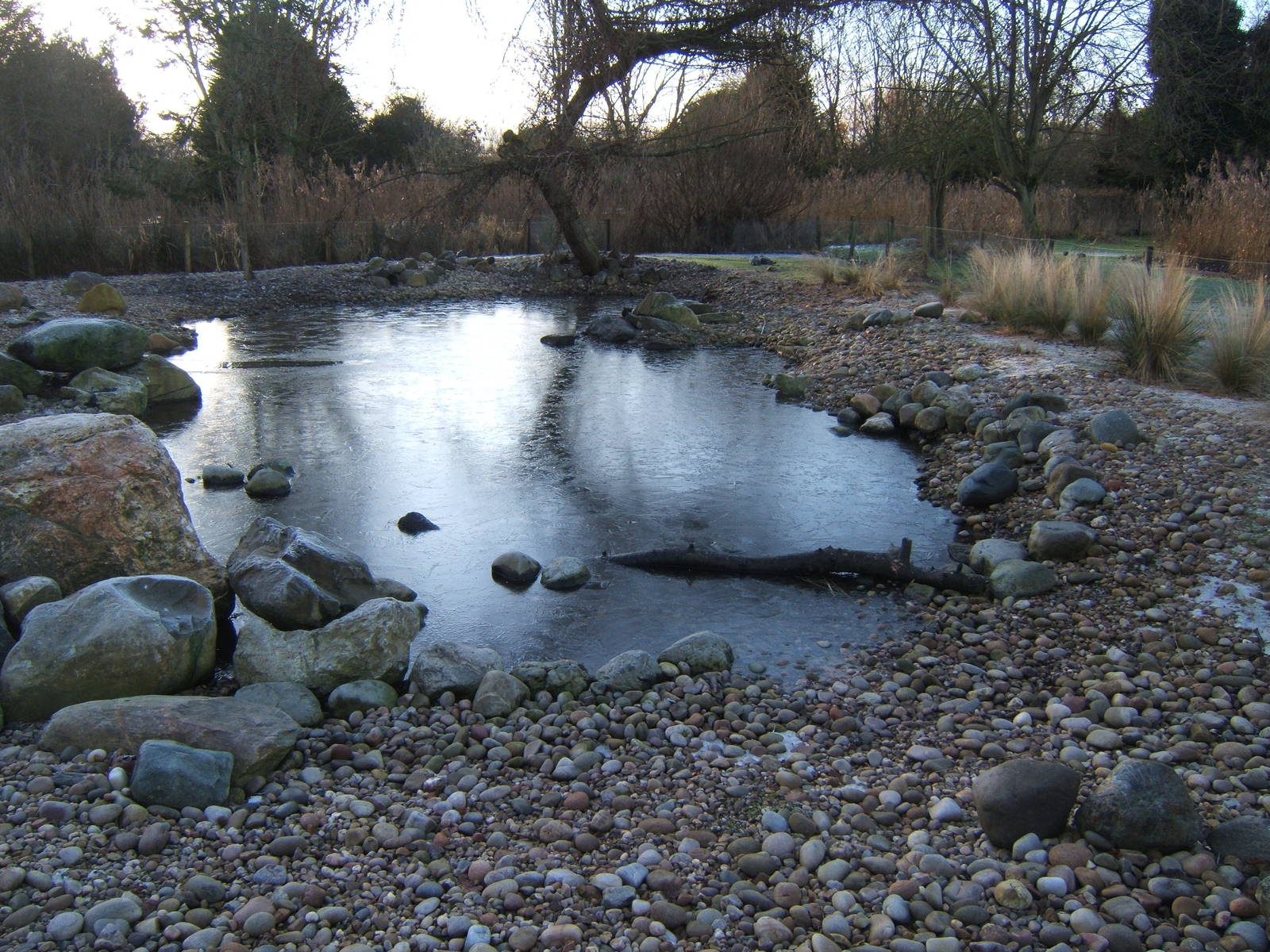 View of a frozen Martin Mere