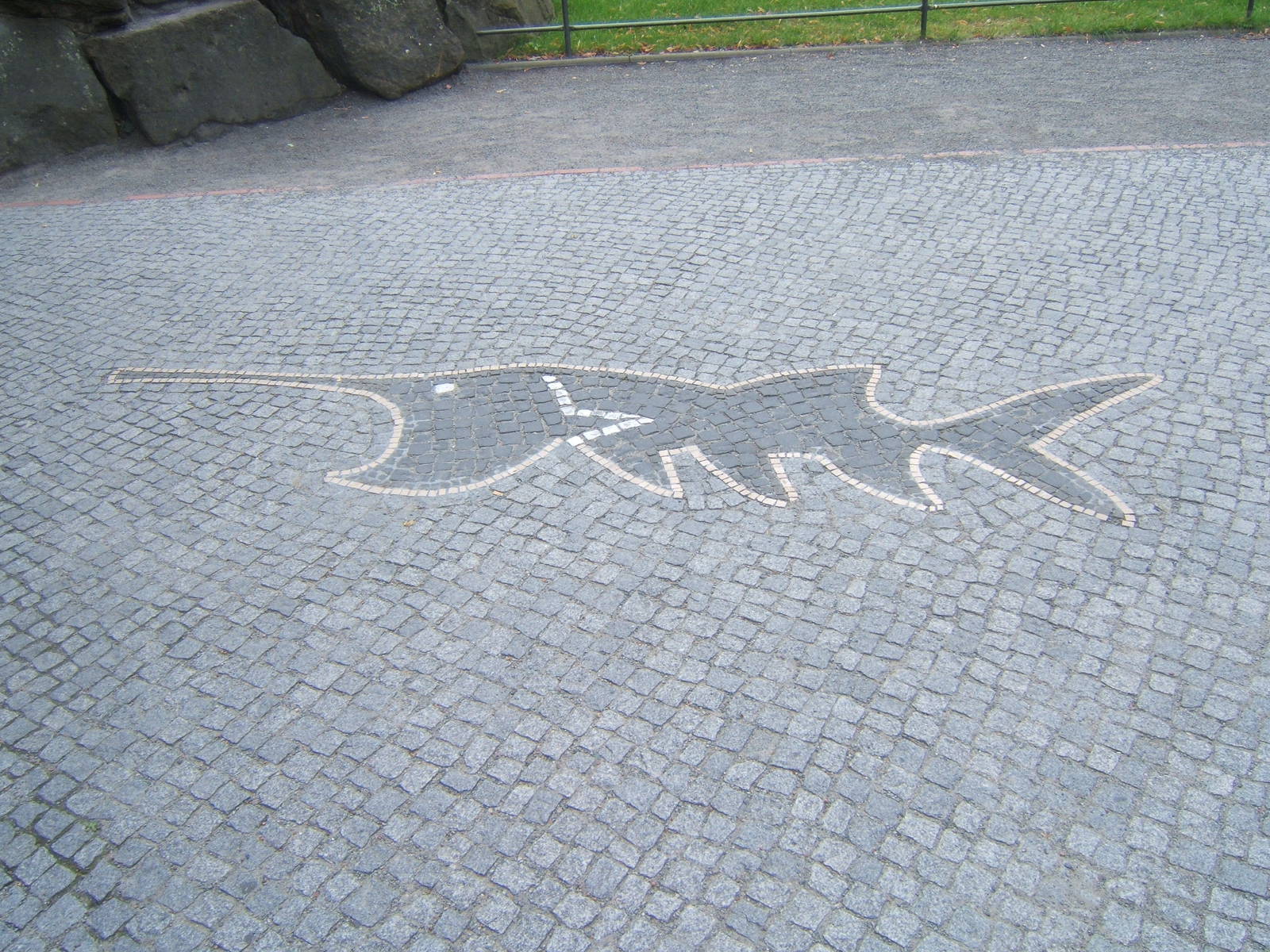 View of a paddlefish in the path