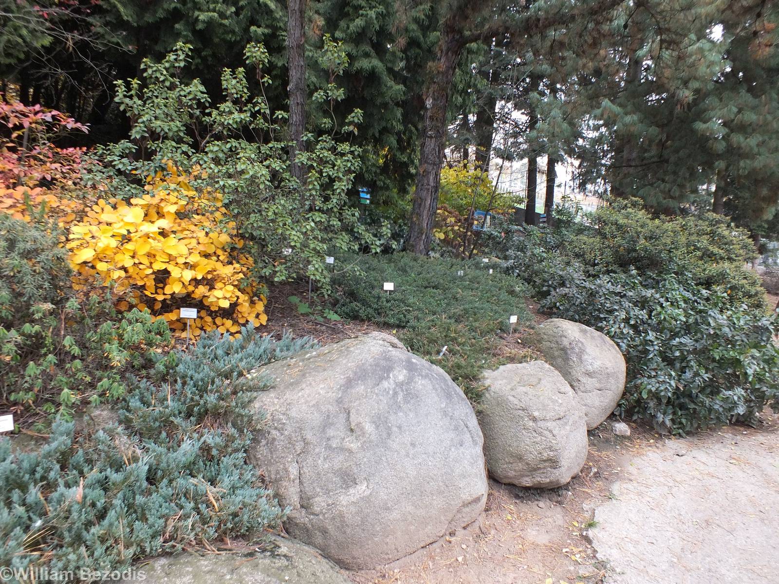 View of a Planted area