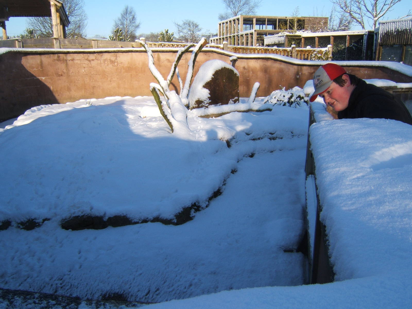 View of a very white Blackbrook Meerkat enclosure