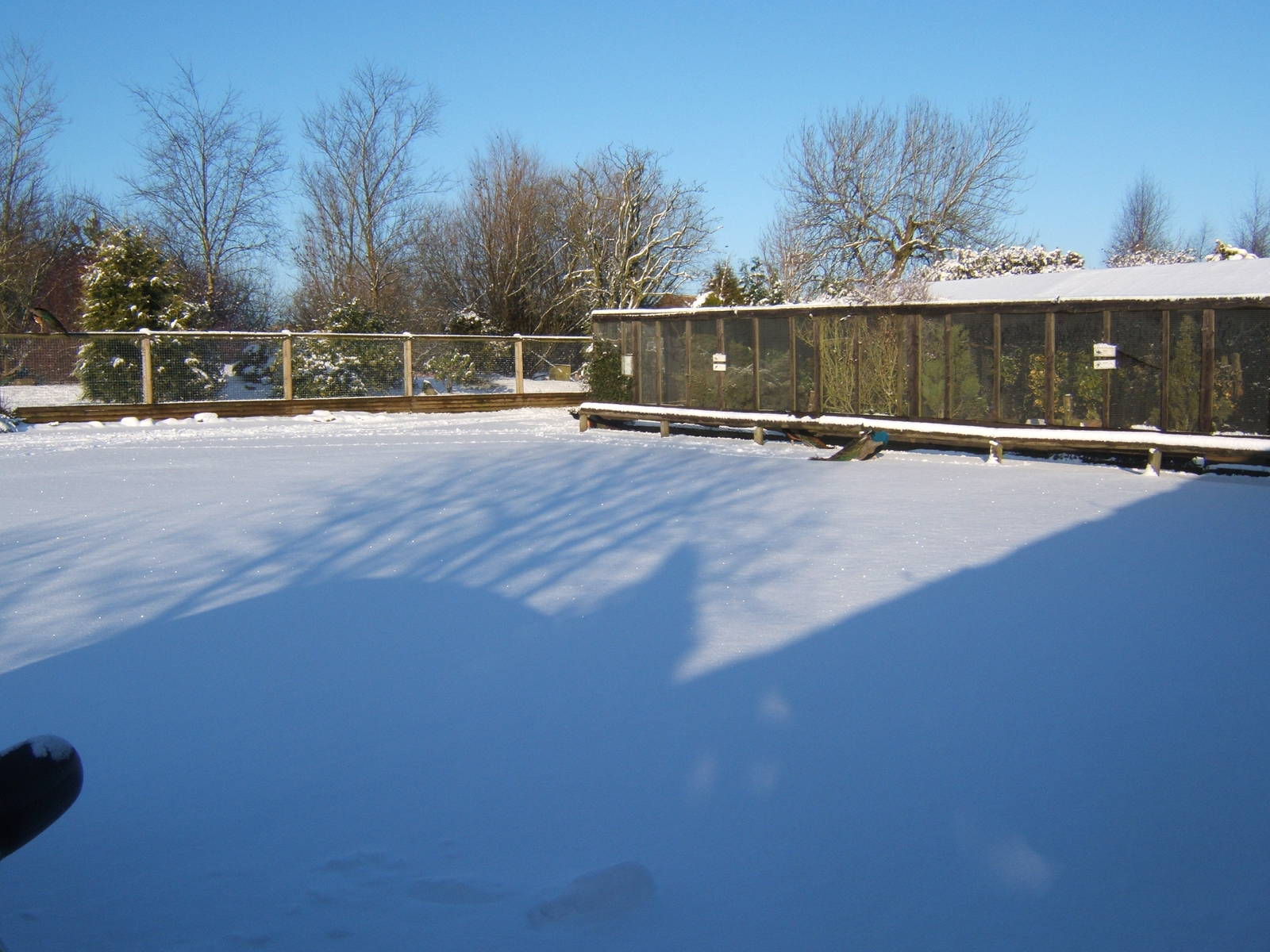 View of a very white Blackbrook