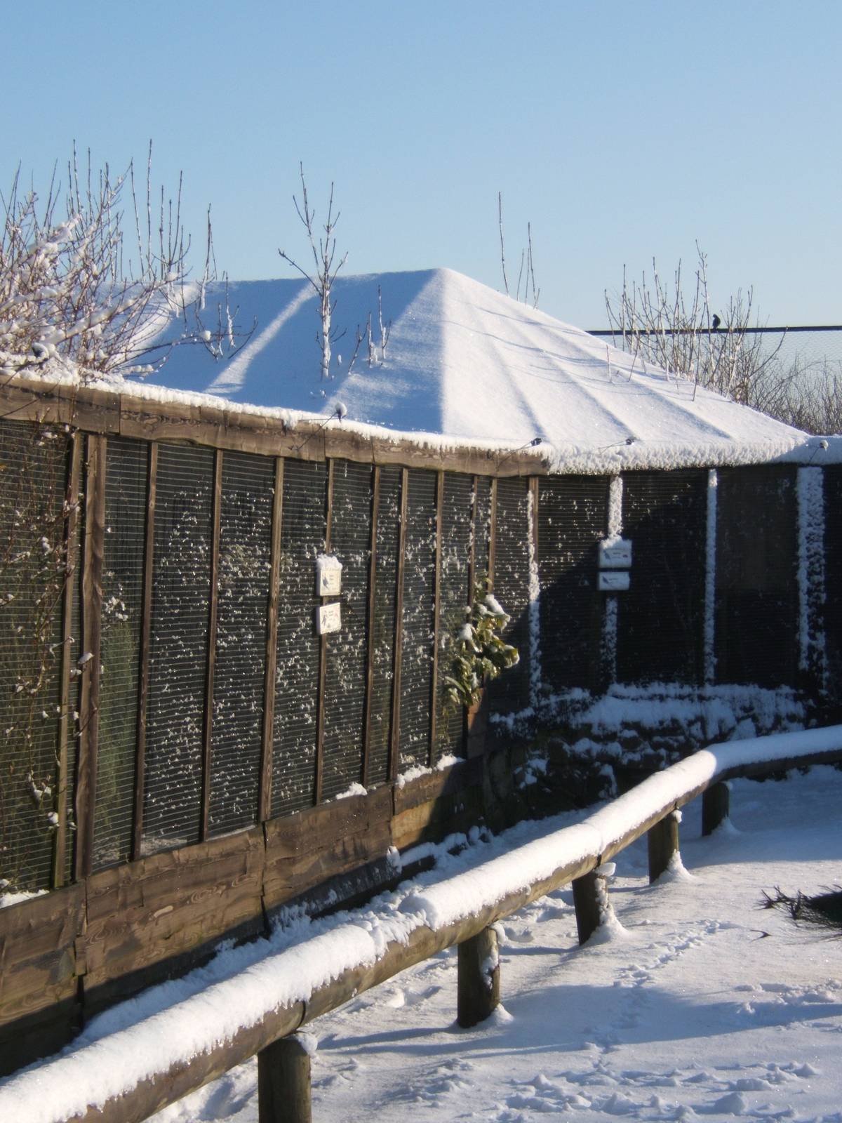 View of a very white Blackbrook