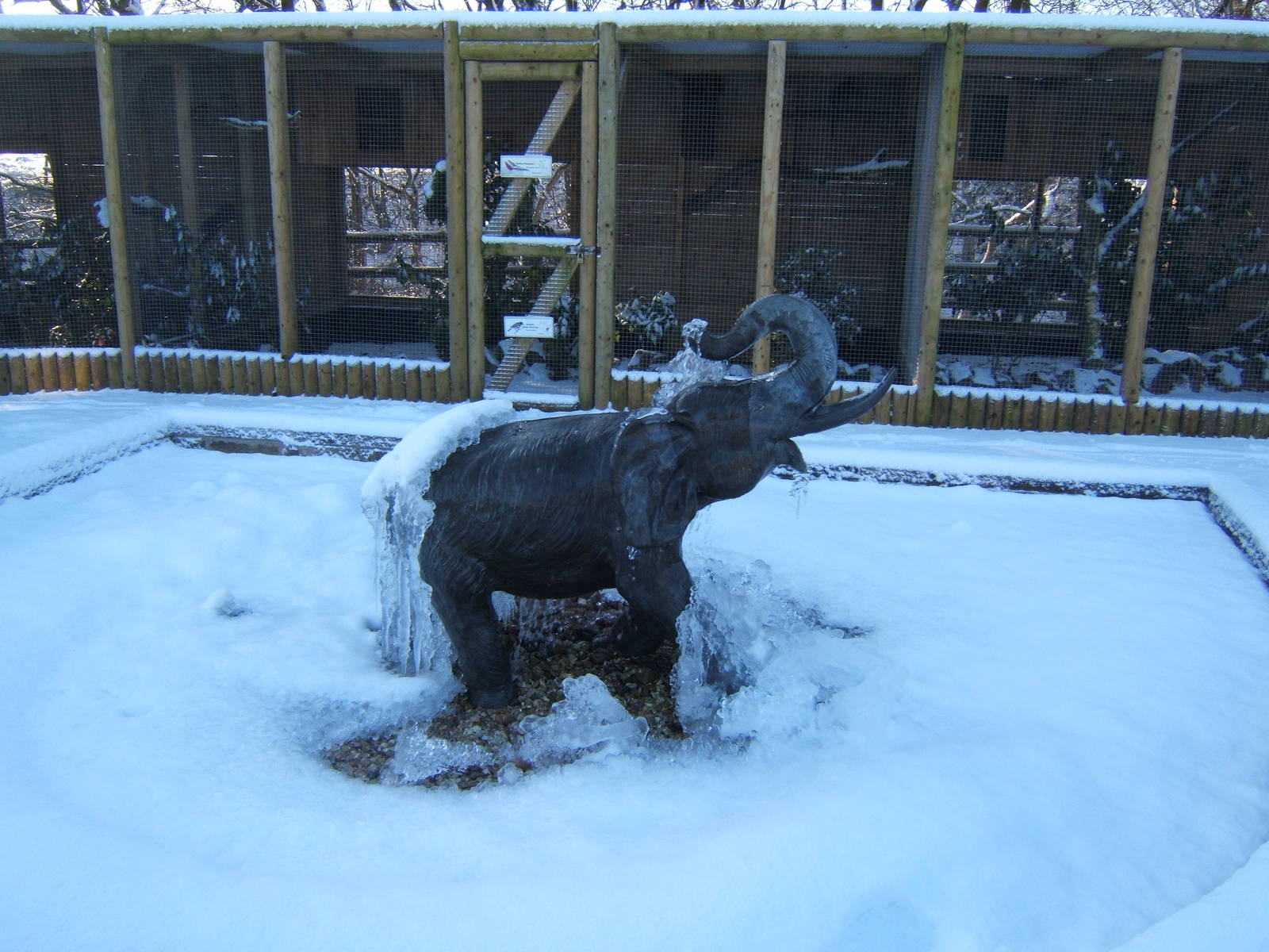 View of a very white Blackbrook