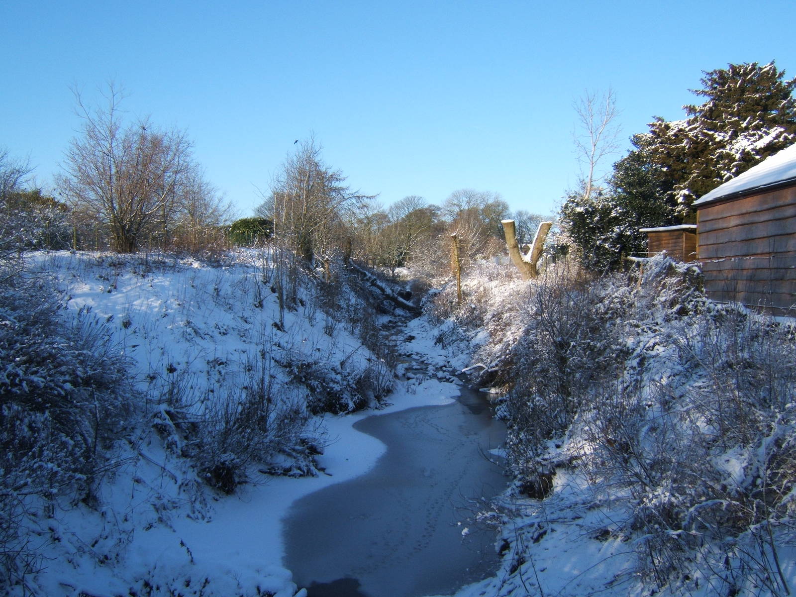 View of a very white Blackbrook