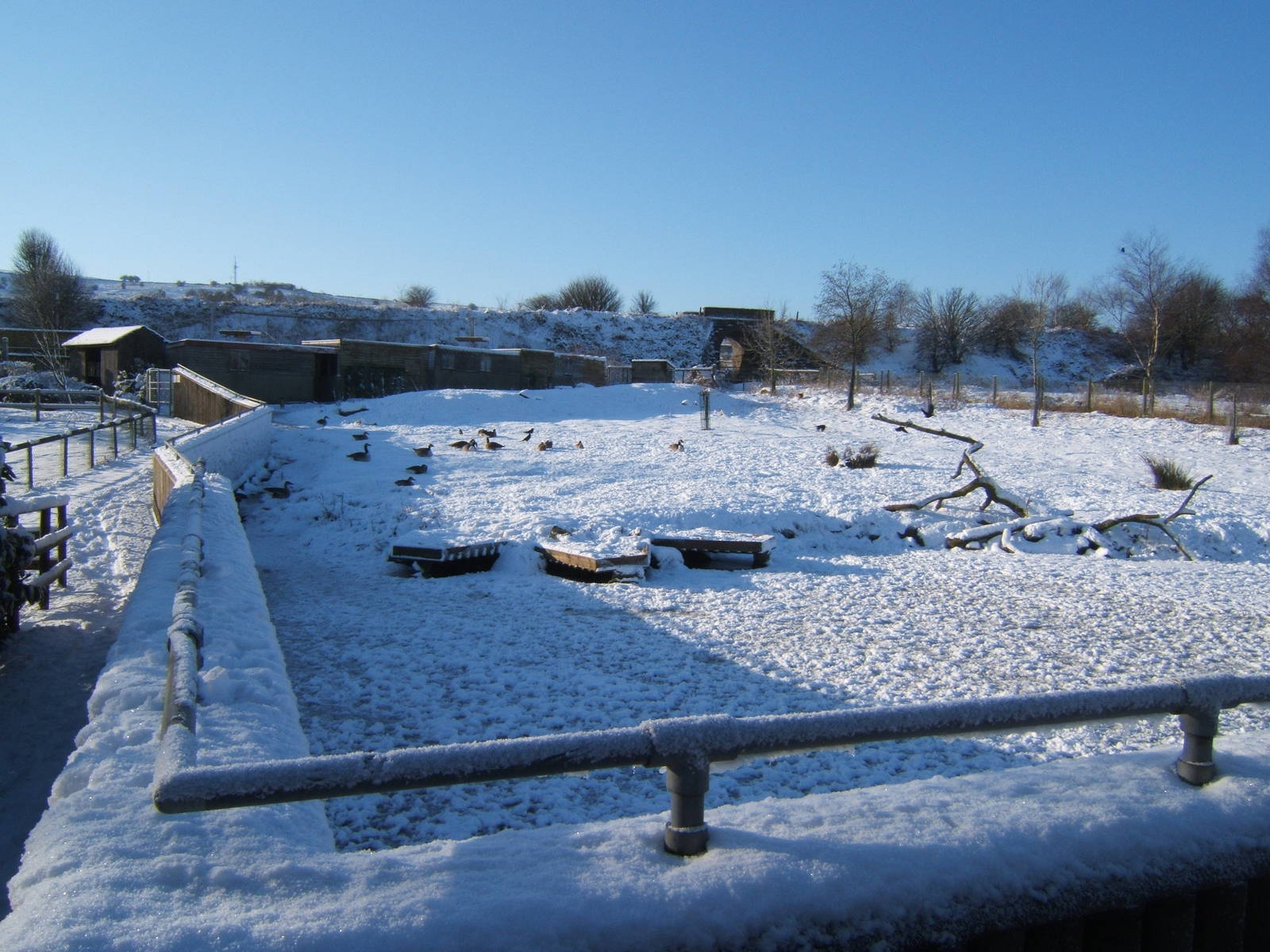 View of a very white Blackbrook