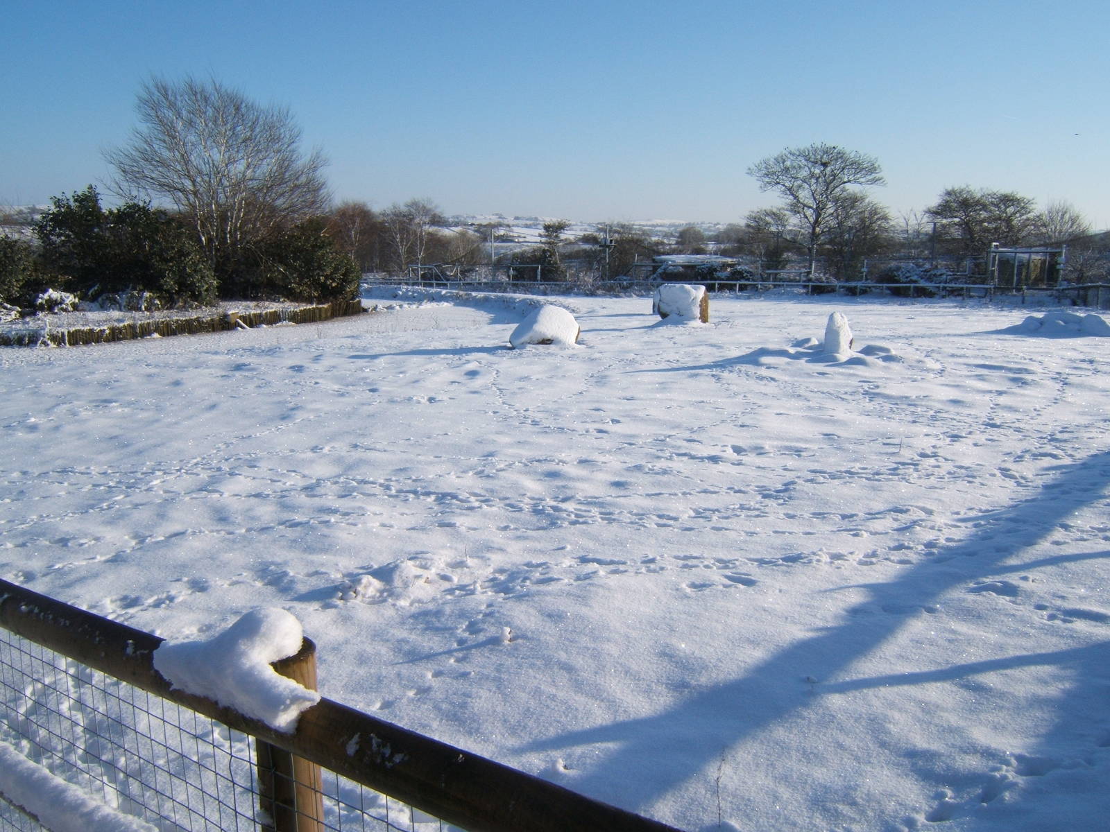 View of a very white Blackbrook