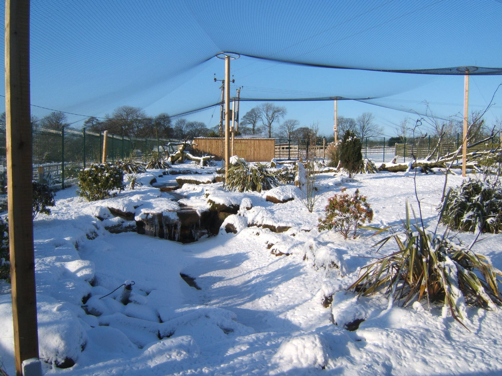View of a very white Blackbrook