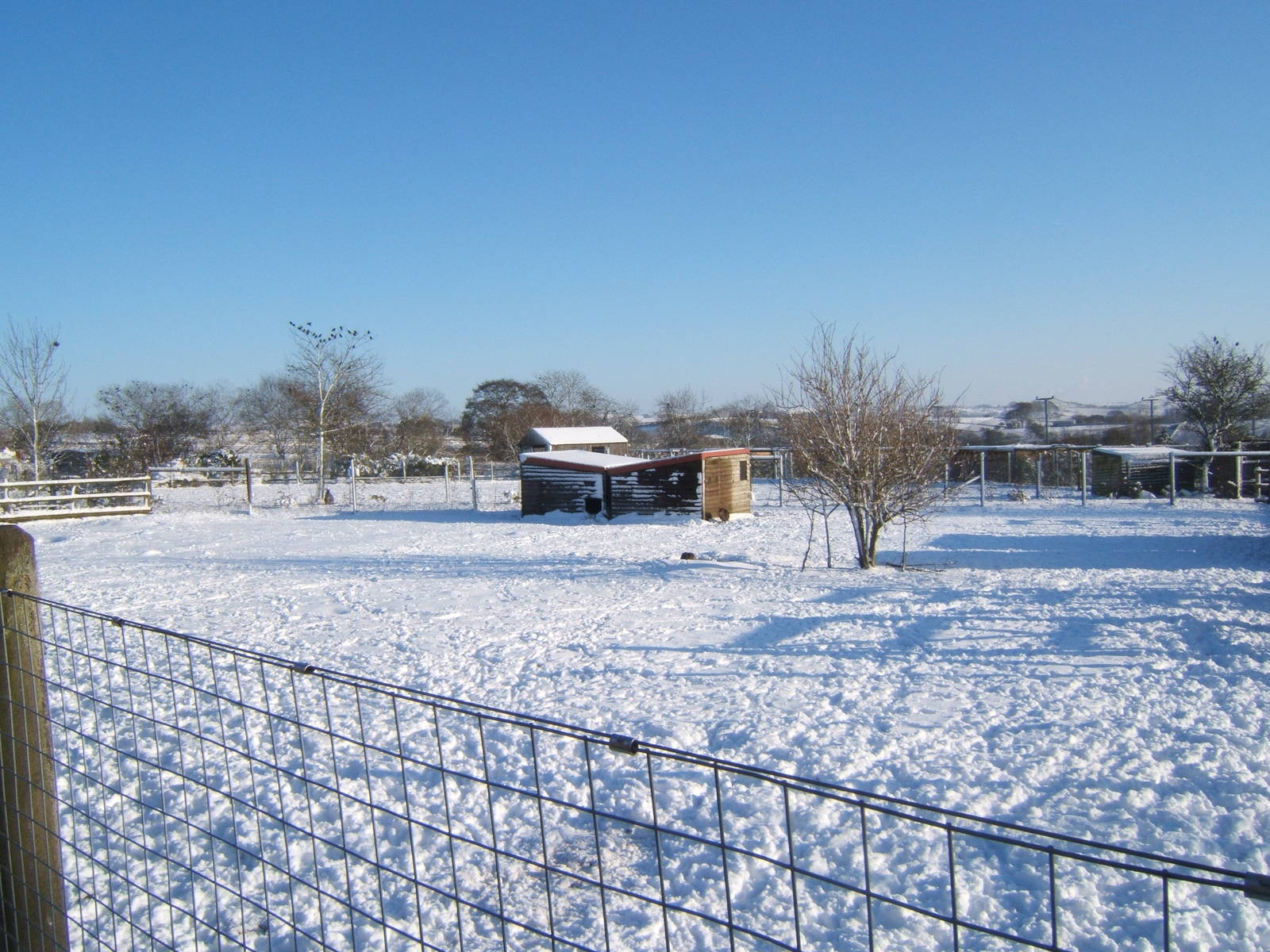 View of a very white Blackbrook