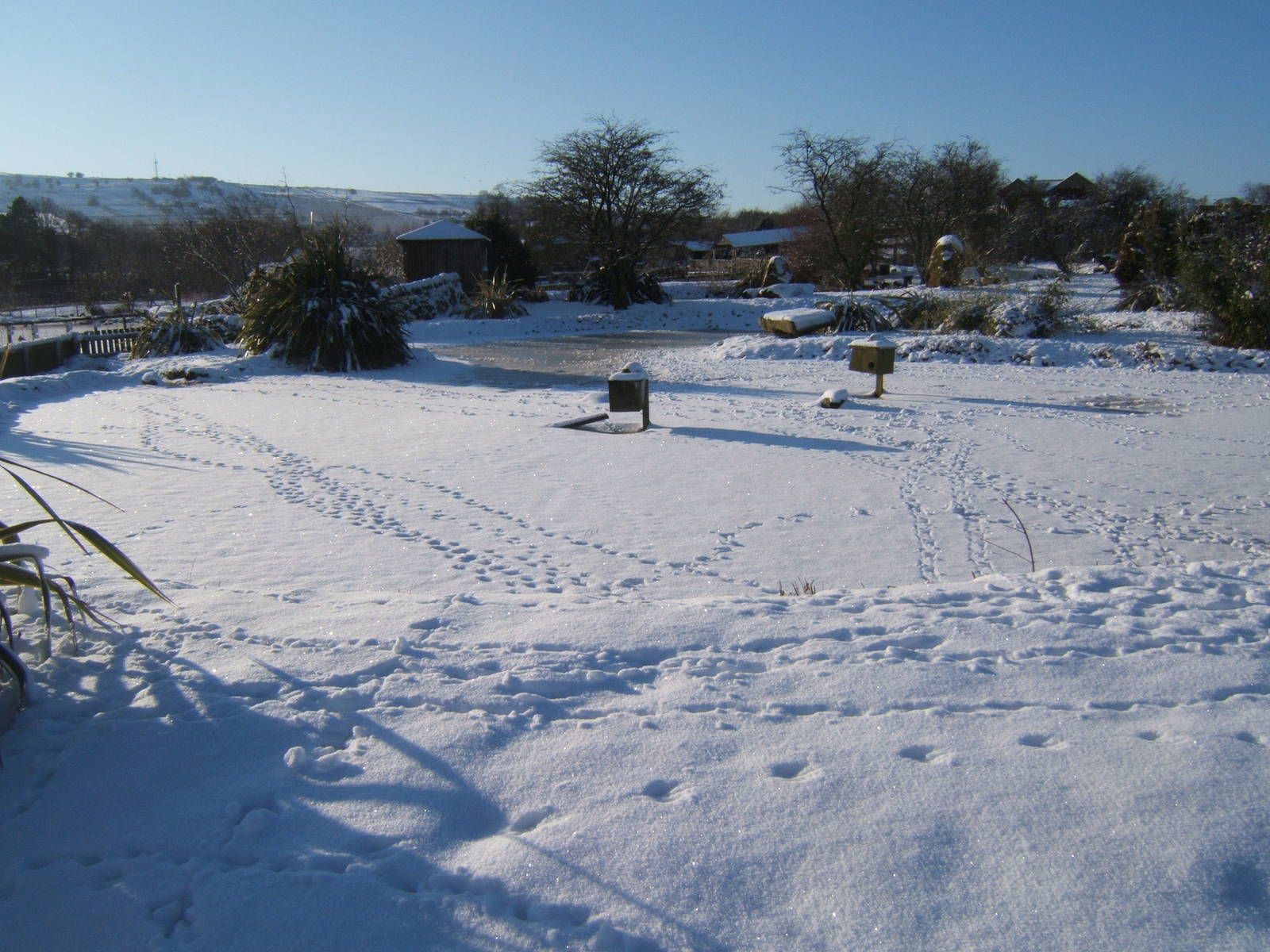 View of a very white Blackbrook
