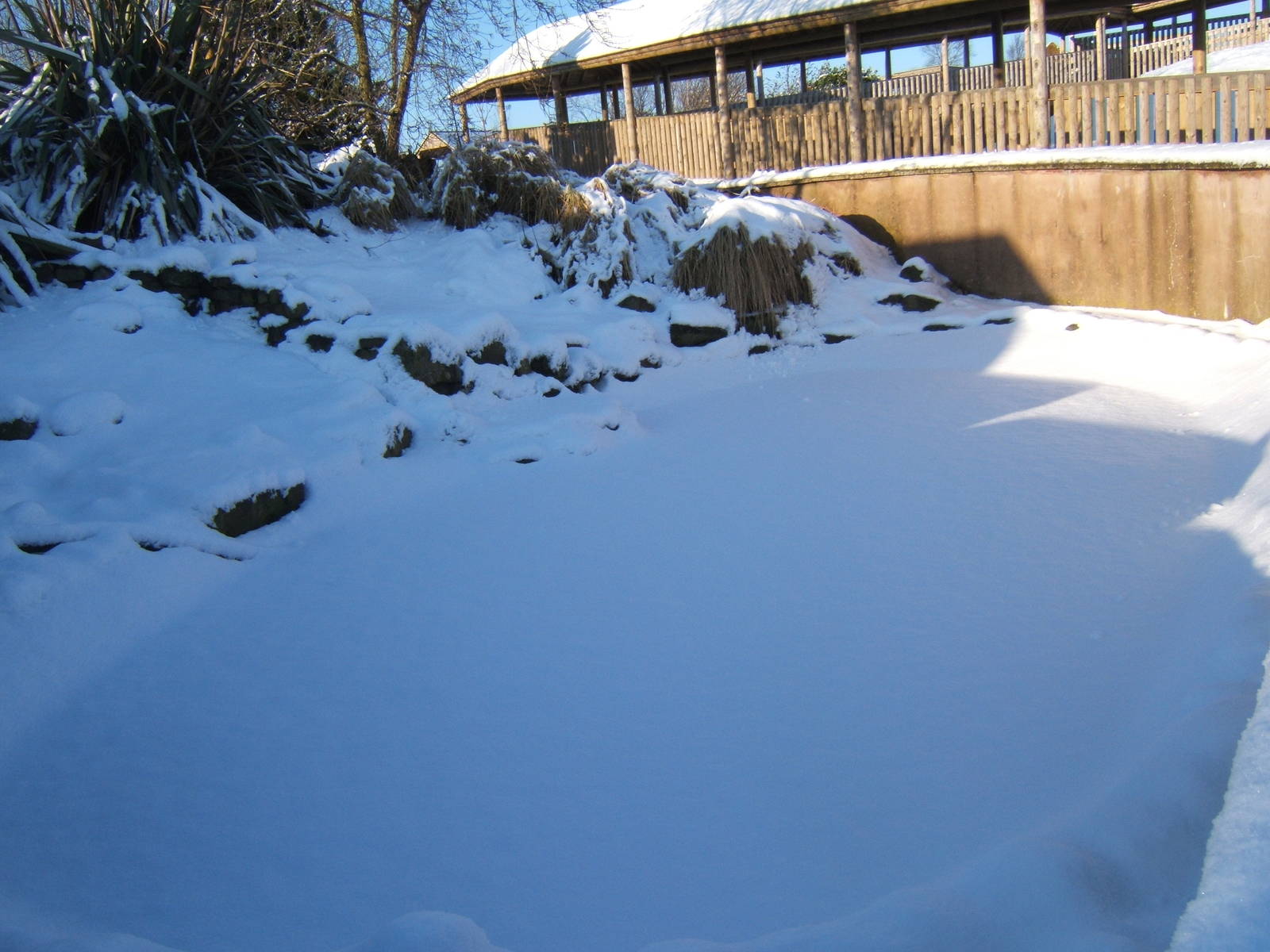 View of a very white Blackbrook