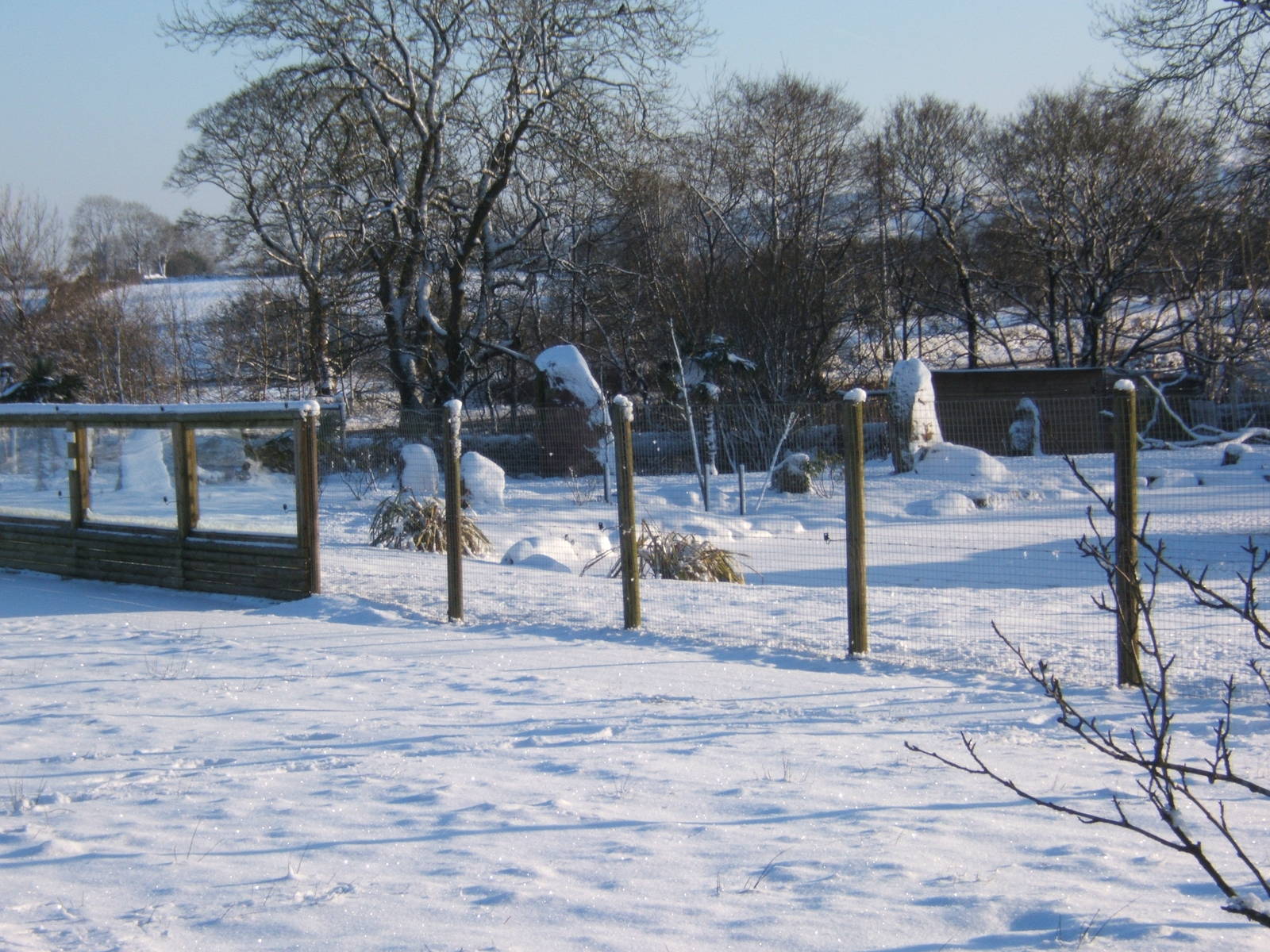 View of a very white Blackbrook