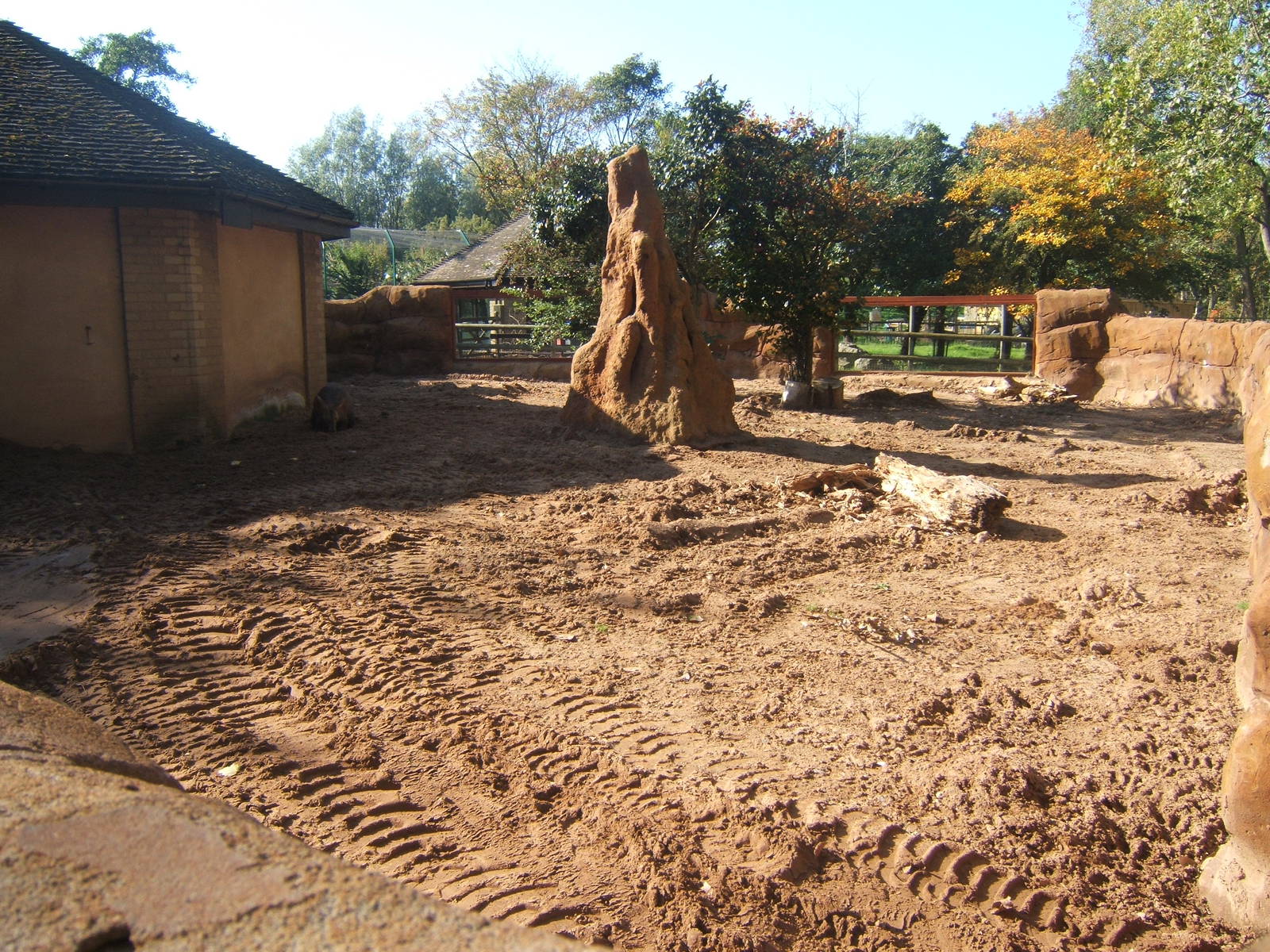 View of Aardvark enclosure