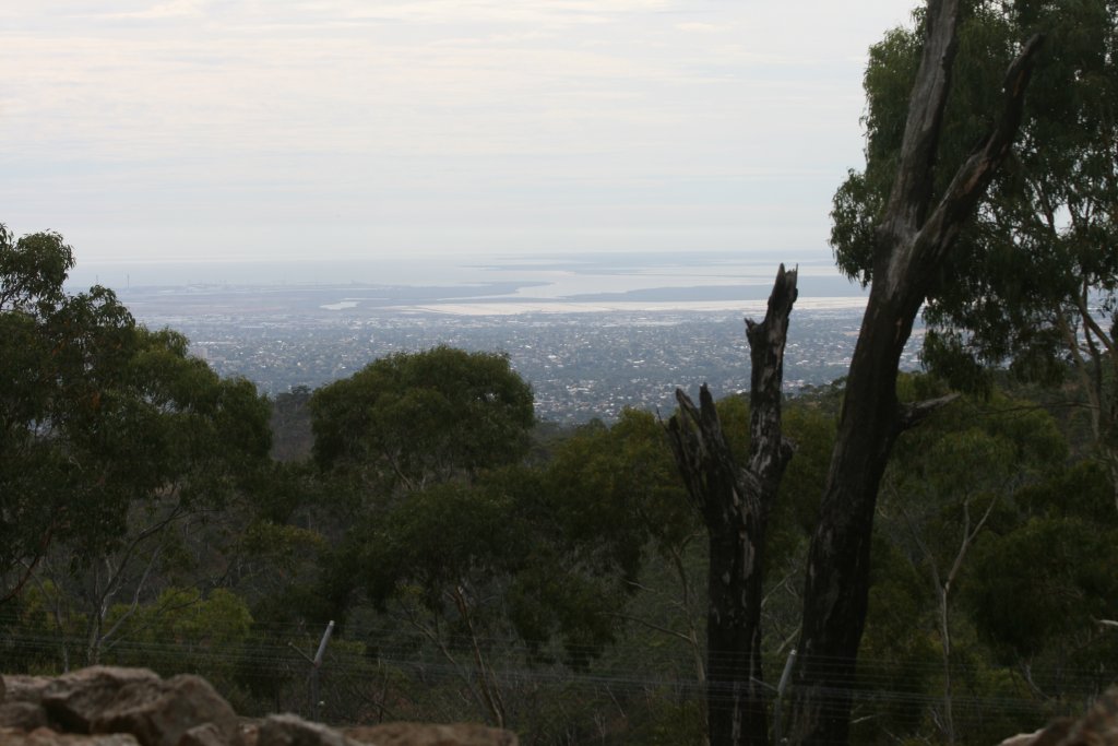 View of Adelaide