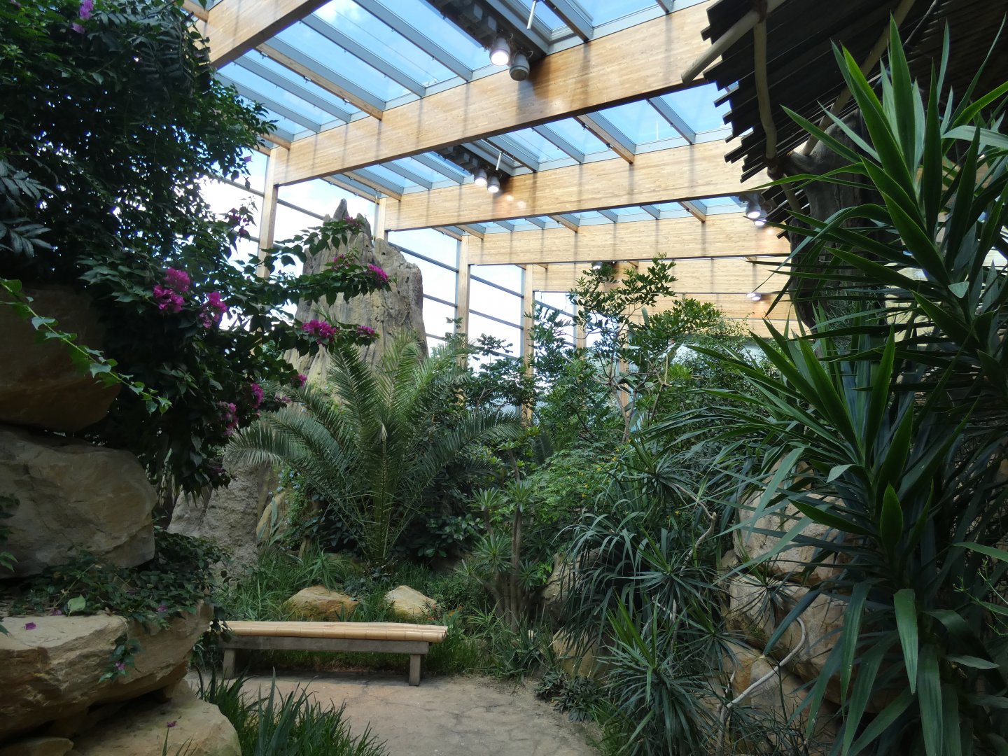 View of Africa free-flight enclosure in 'World of Birds'