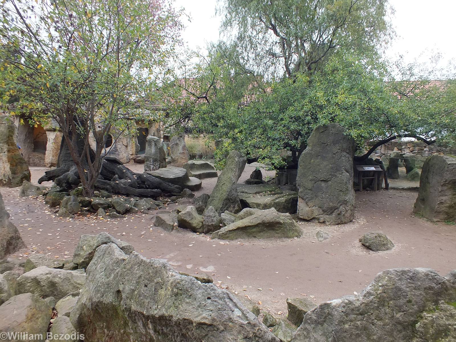 View of African Area