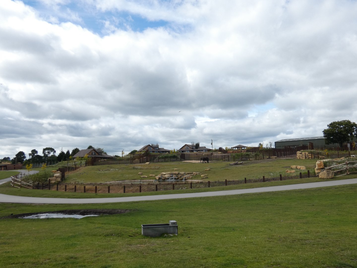 View of African elephant cow day enclosure