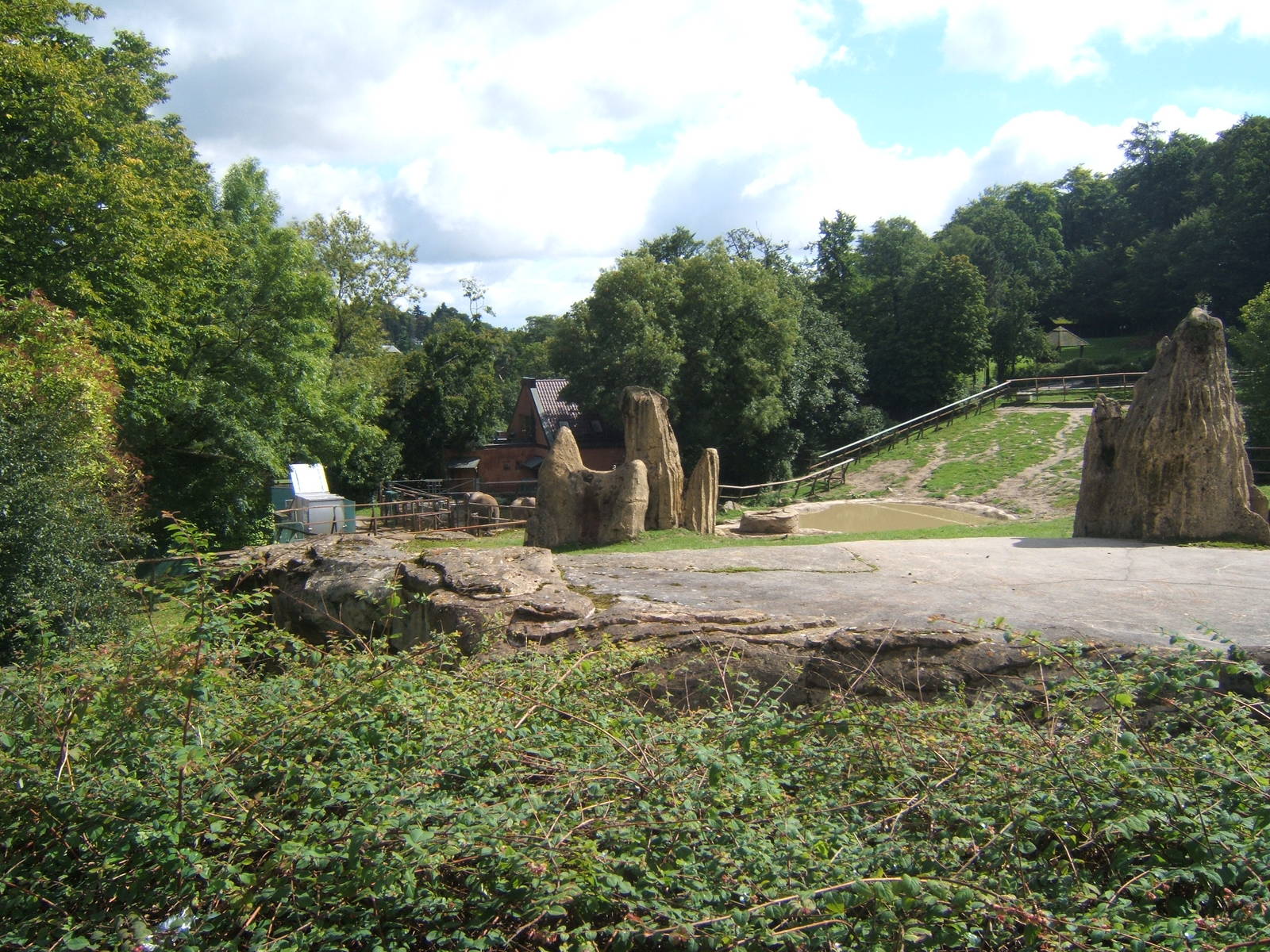 View of African Elephant enclosure