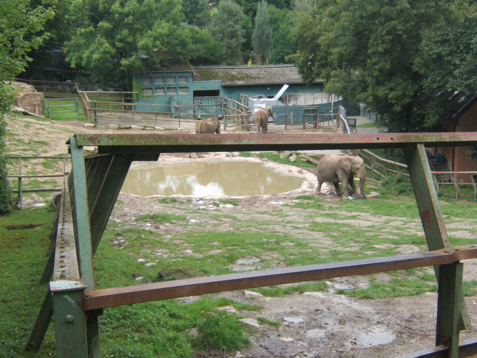 View of African Elephant enclosure