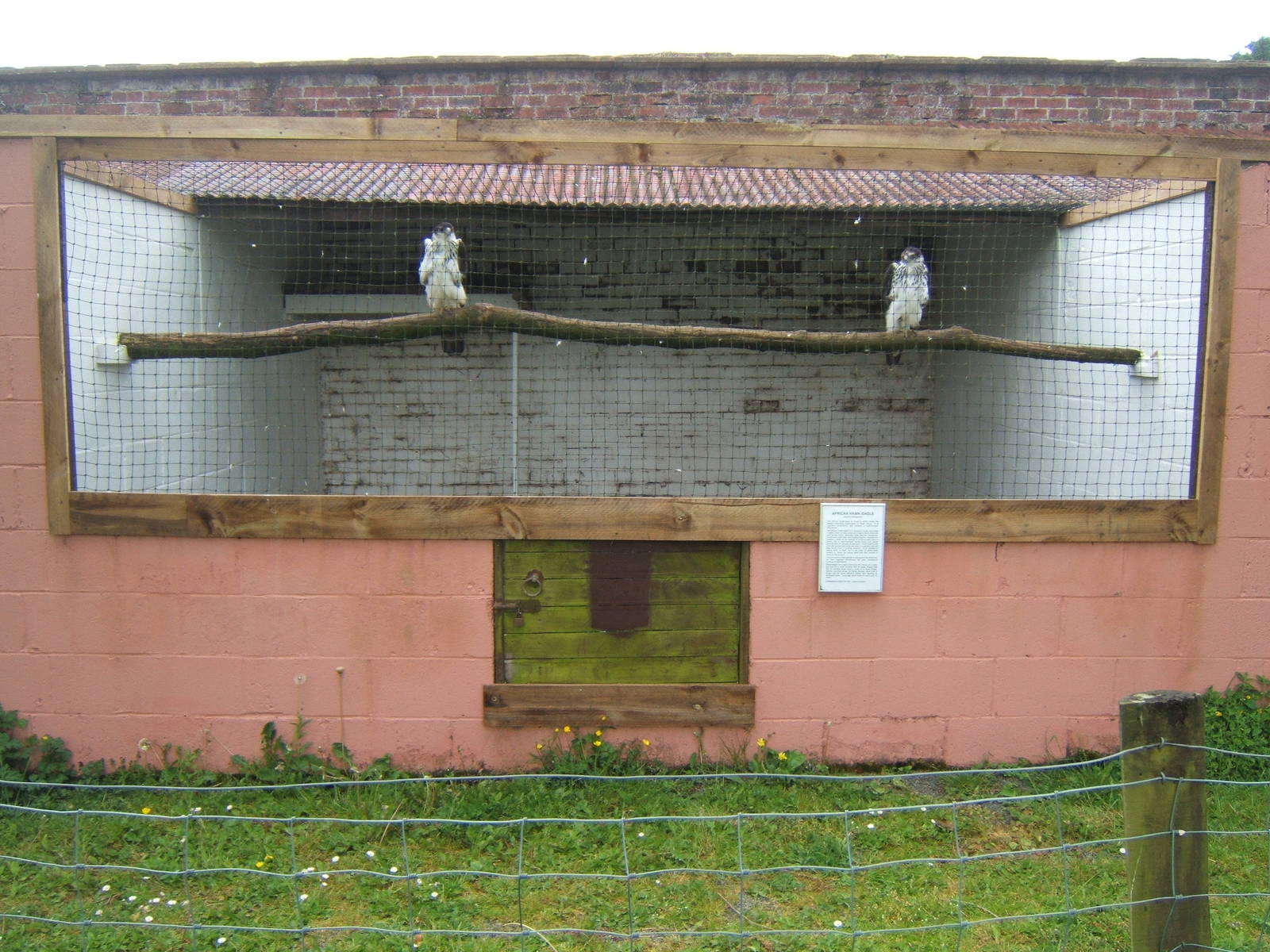View of African Hawk Eagle Aviary