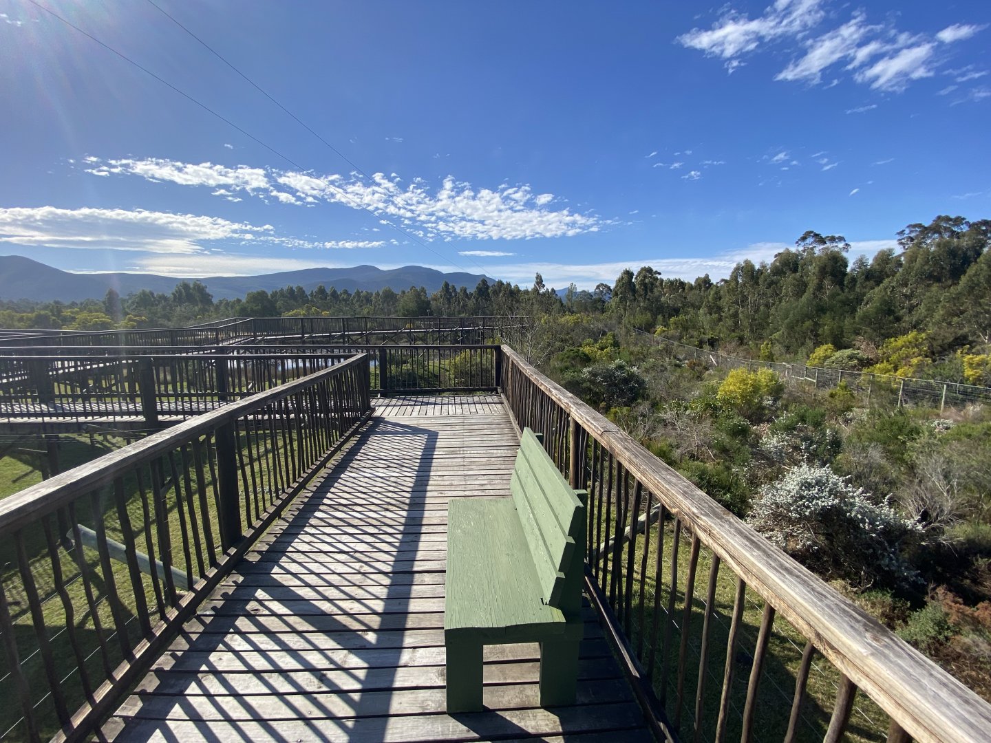 View of African lion enclosure and bridge