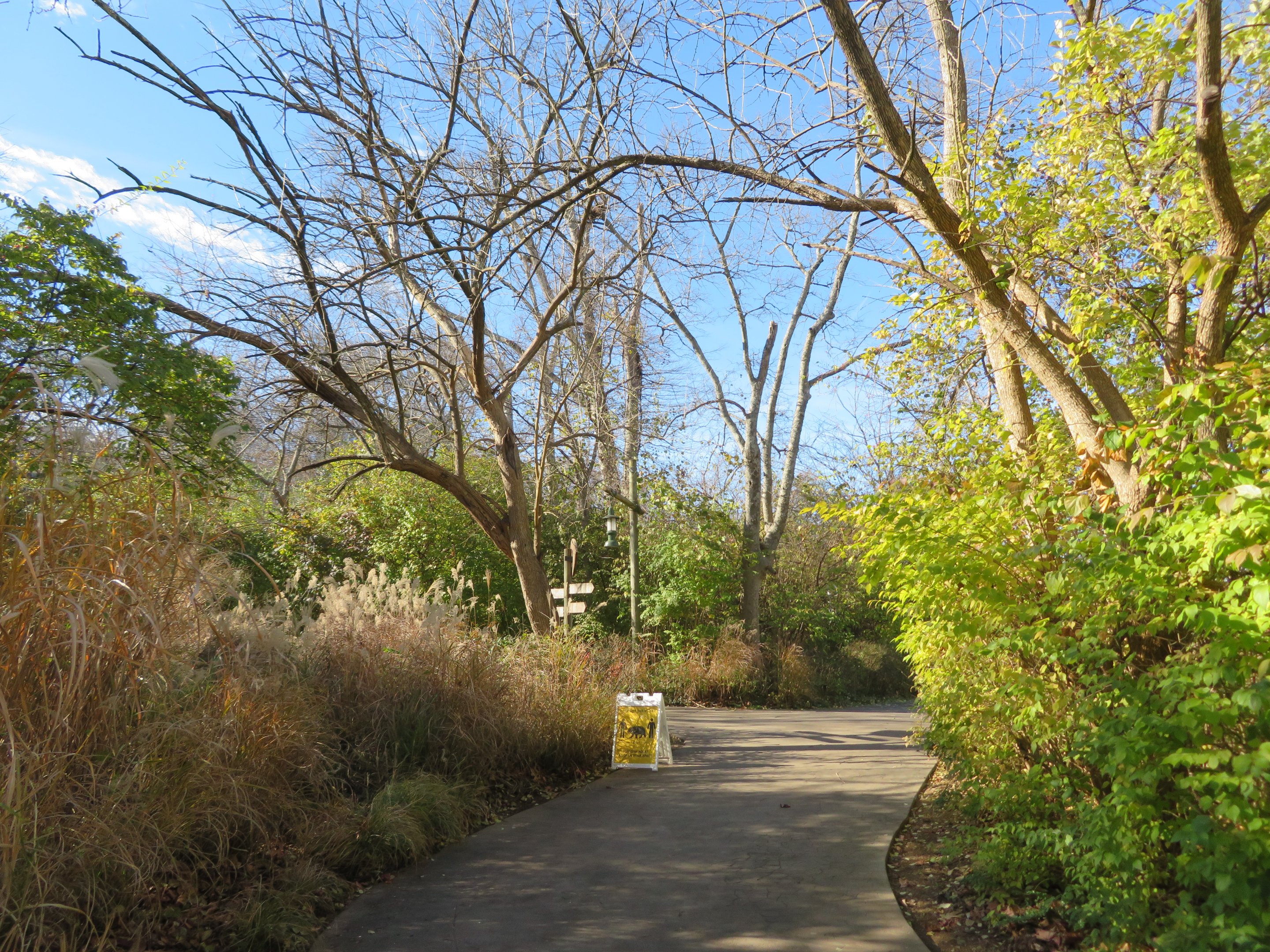 View of African Path