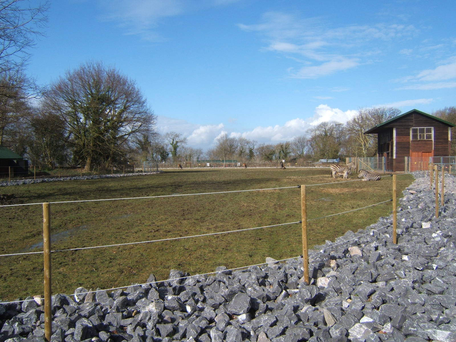 View of African plains enclosure