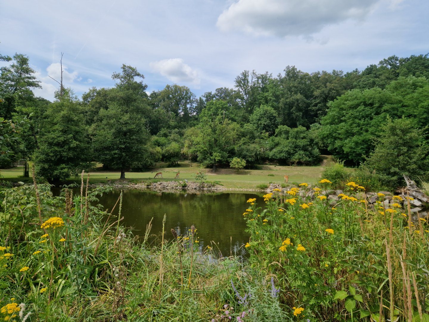 View of African savanna exhibit