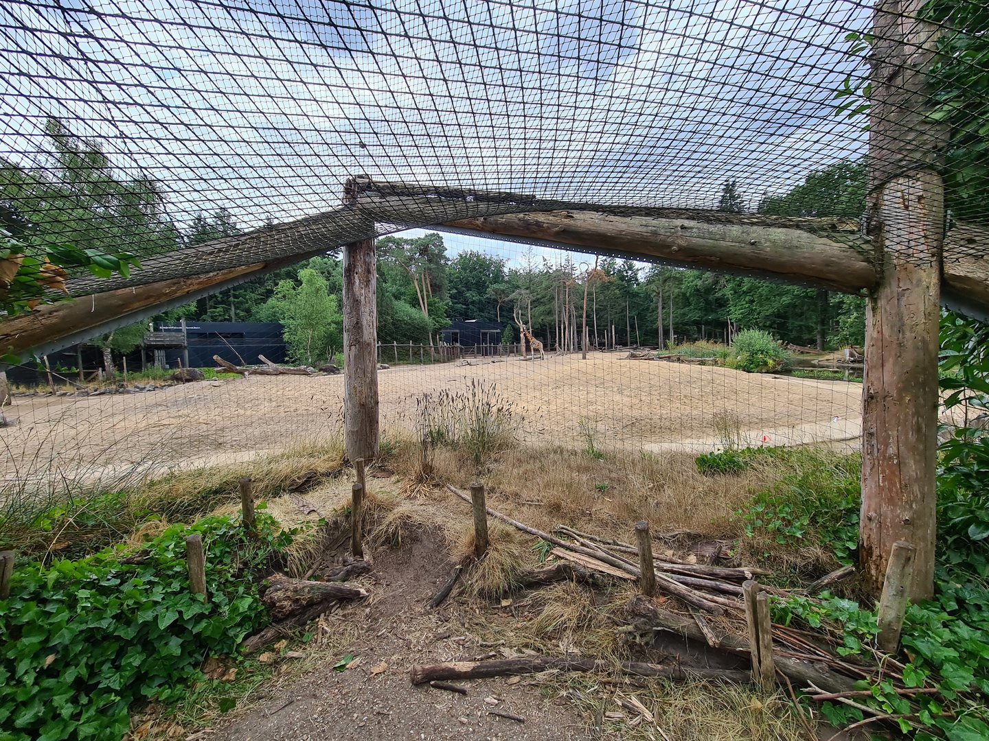View of African savannah enclosure from aviary