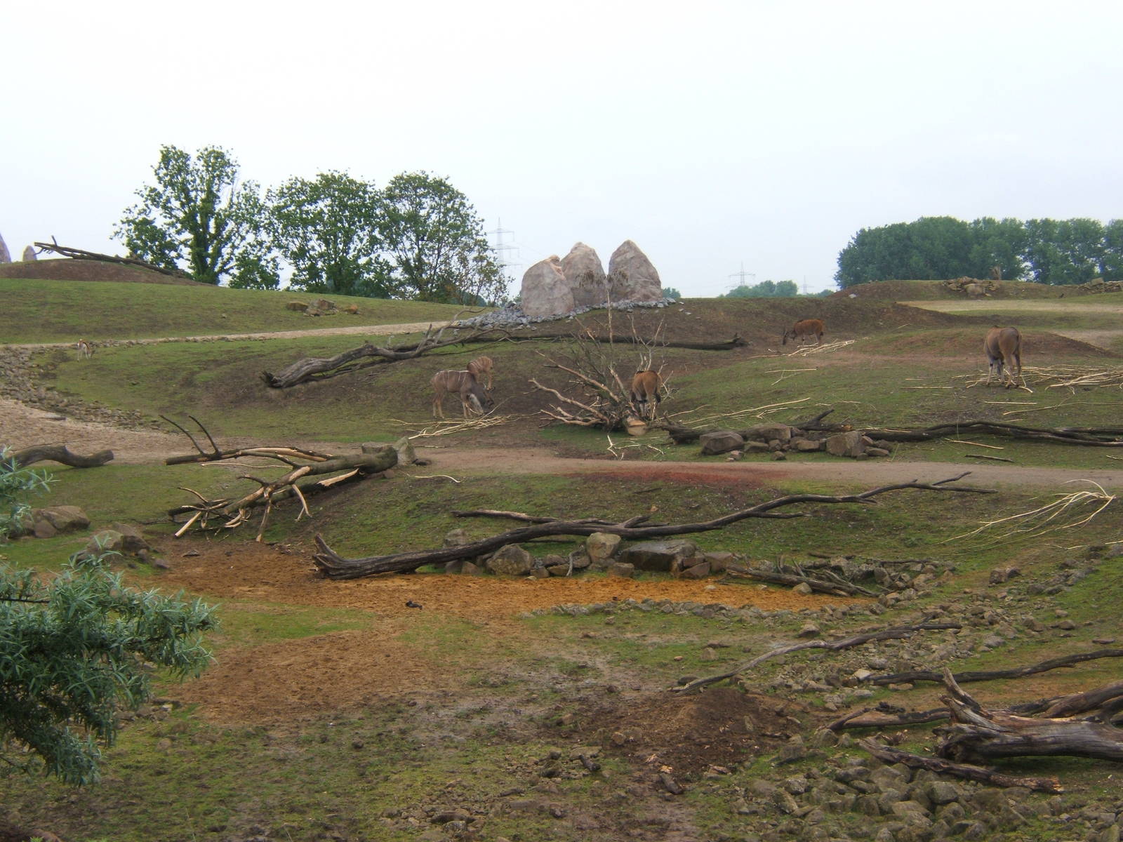 View of African Savannah from cafe