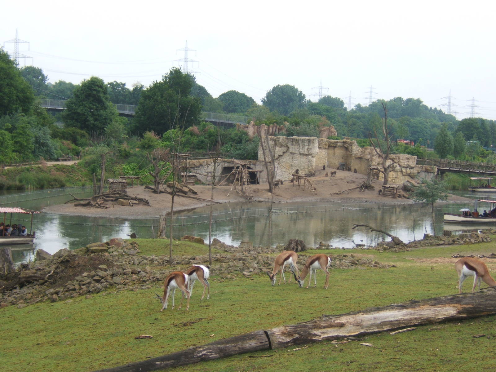 View of African Savannah