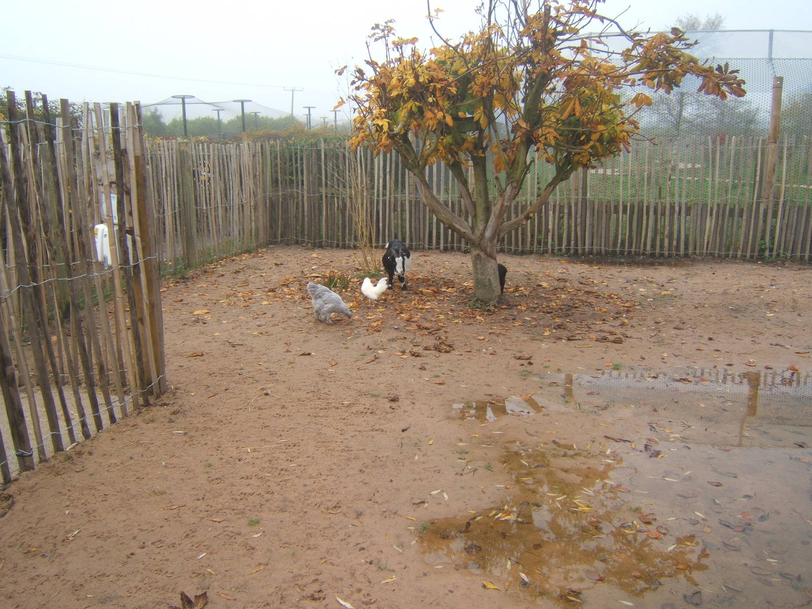View of African Village encounter