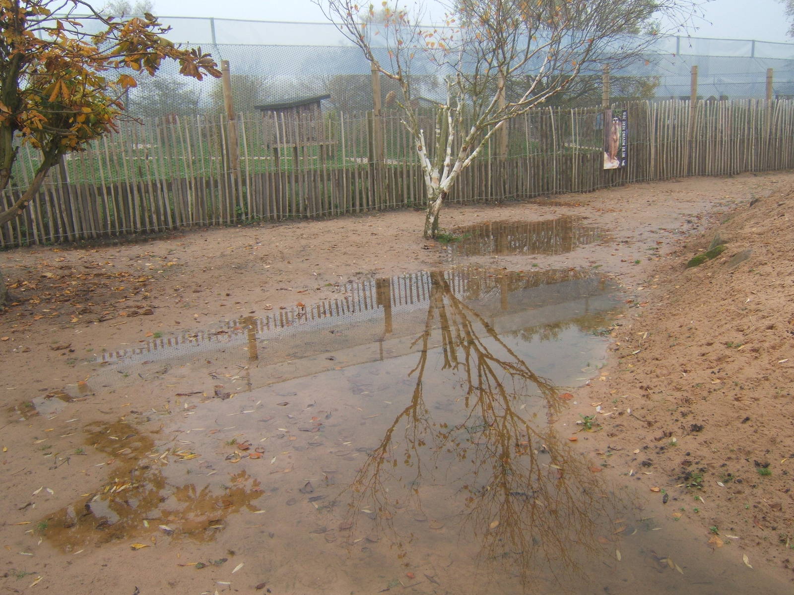 View of African Village encounter