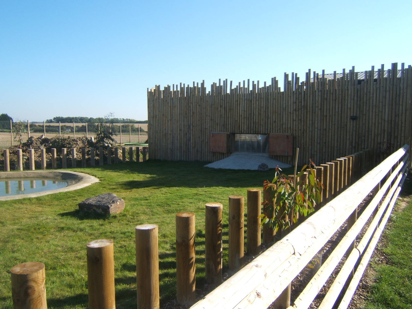 View of Aldabra Giant Tortoise enclosure