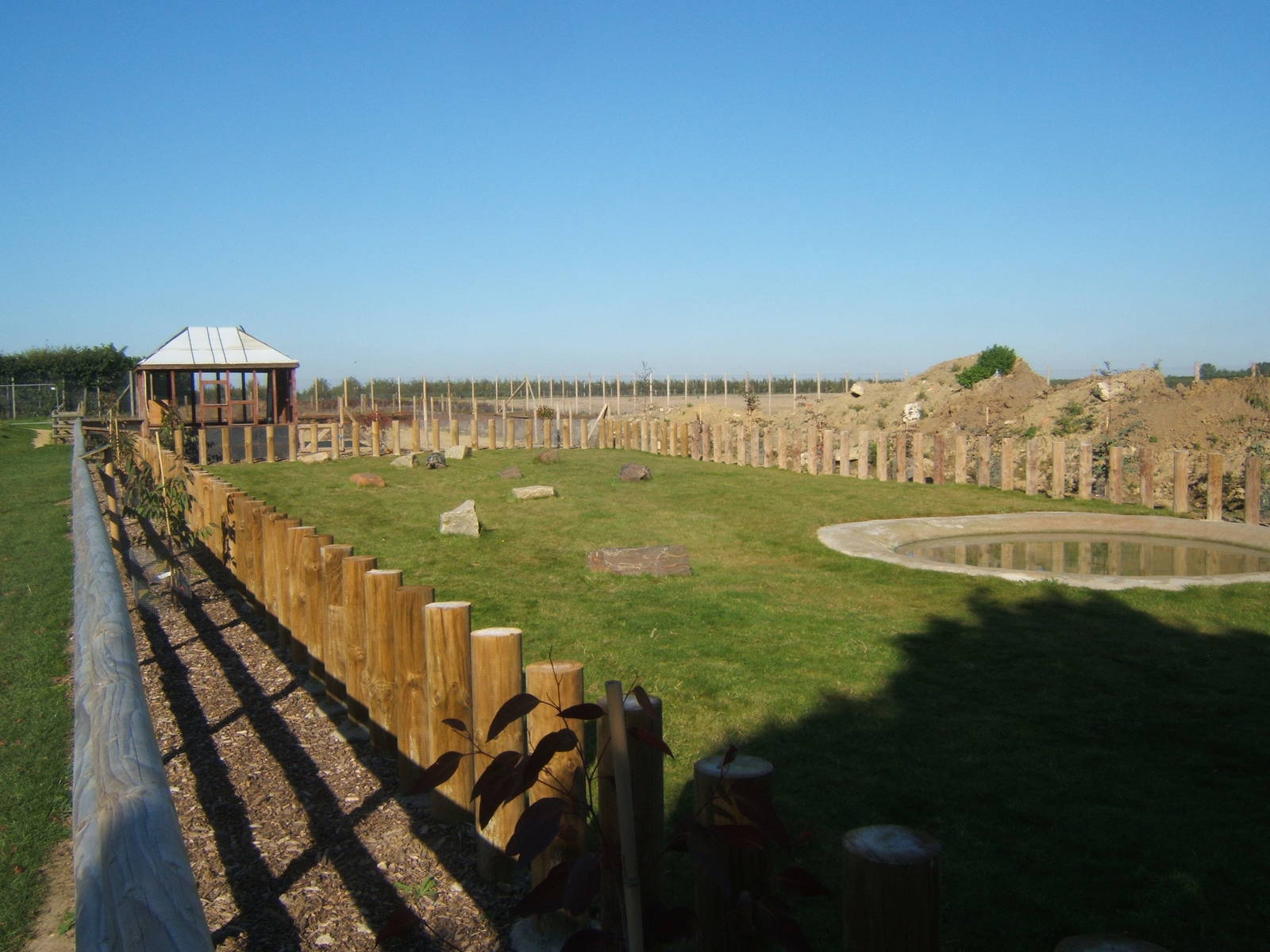 View of Aldabra Giant Tortoise enclosure