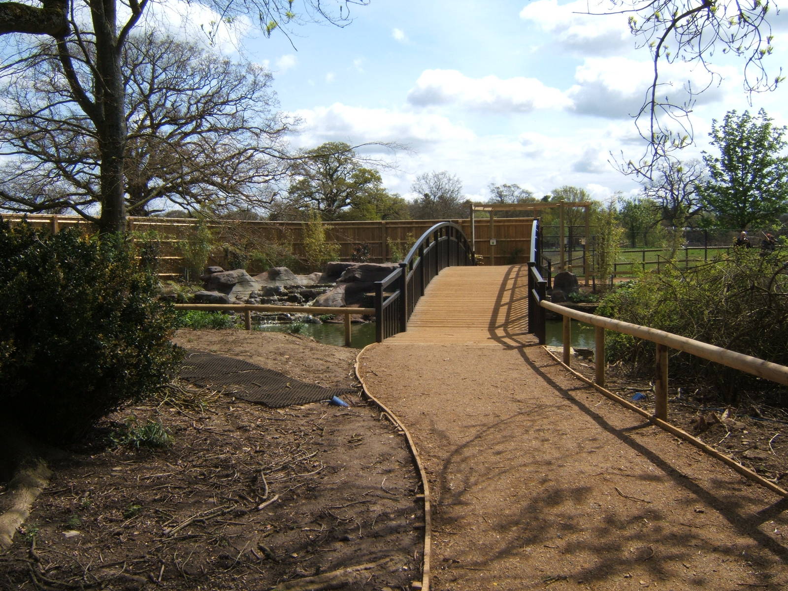 View of altered Waterfowl exhibit