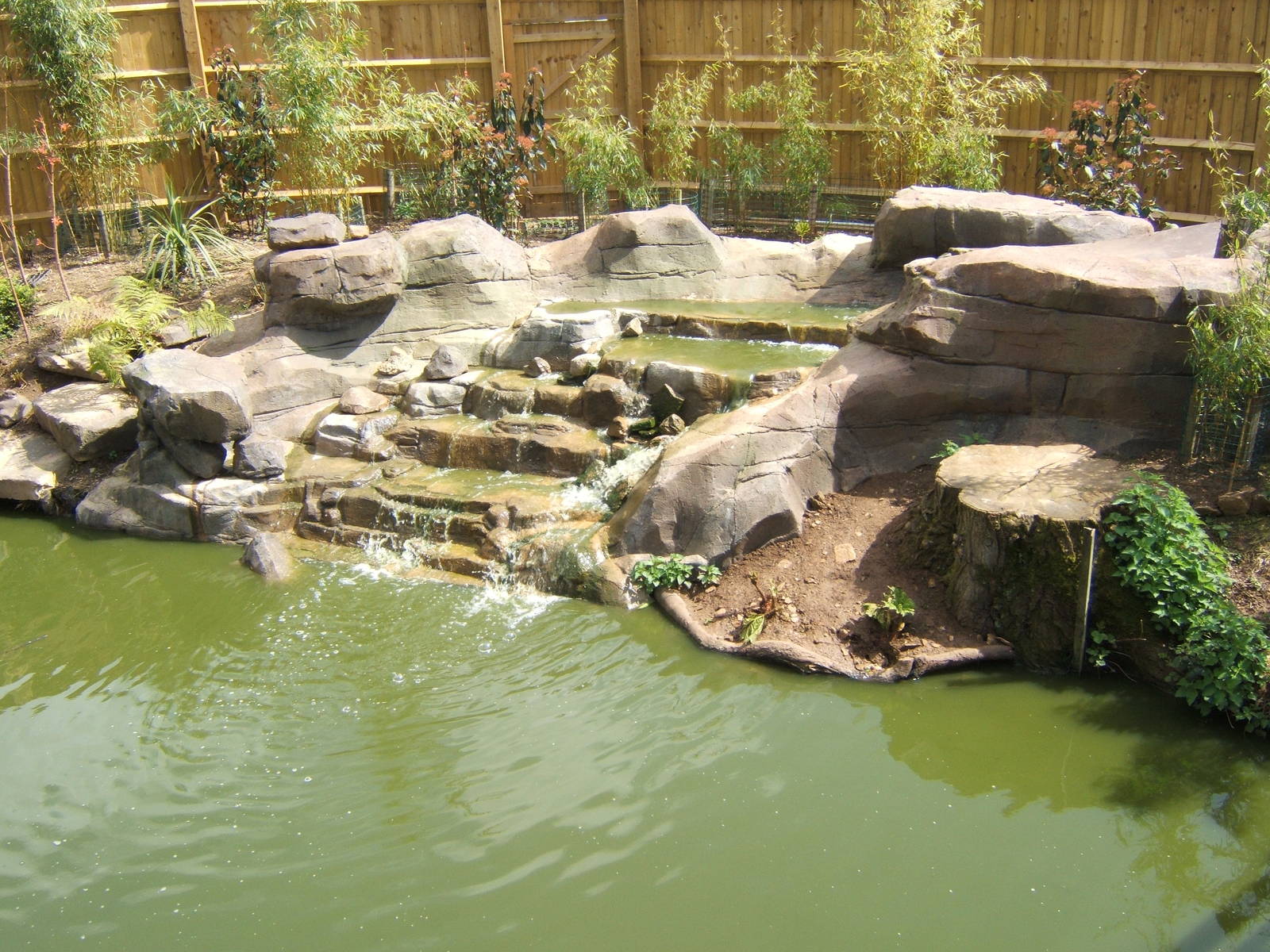 View of altered Waterfowl exhibit