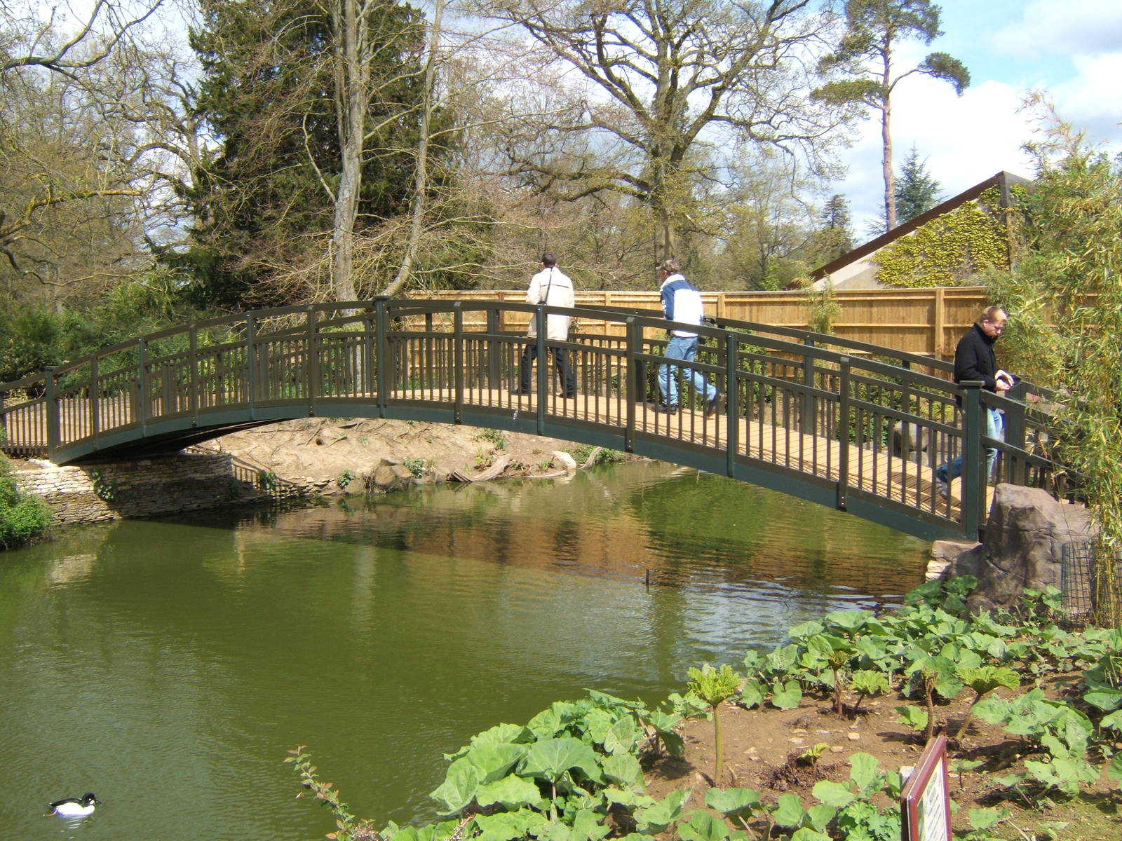 View of altered Waterfowl exhibit