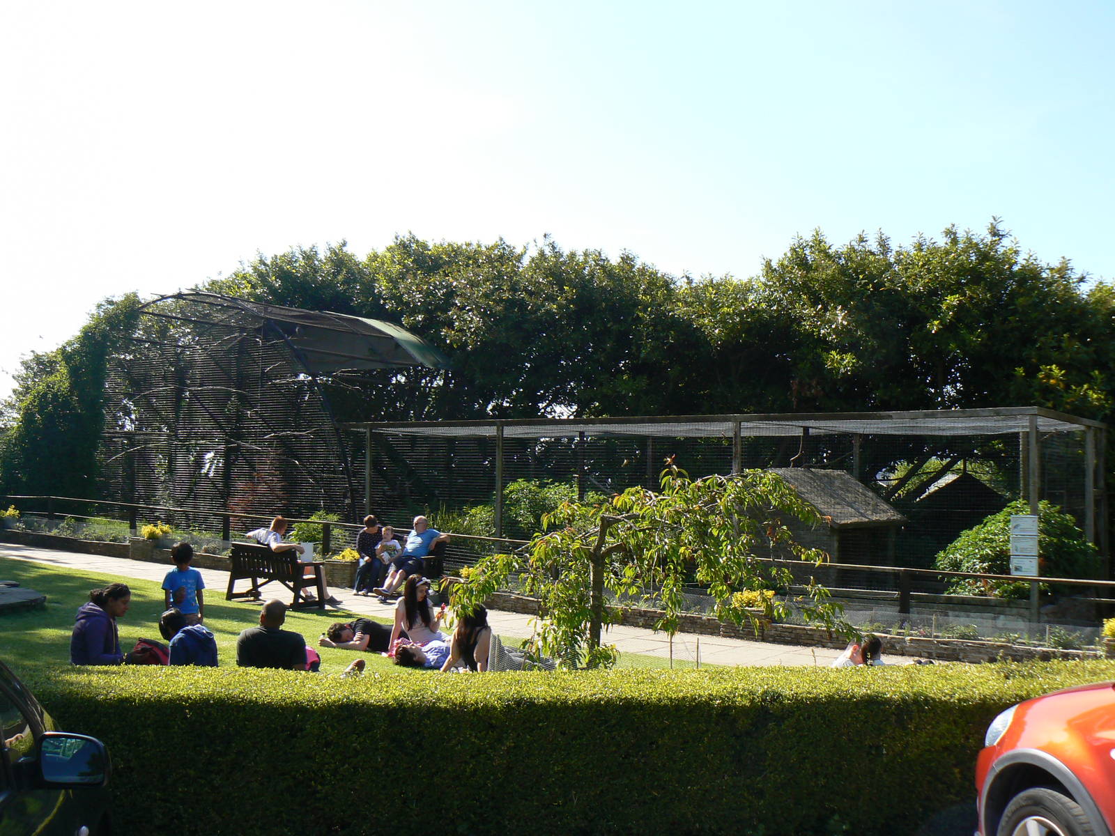 View of Amazon Aviary - 30 May 2016