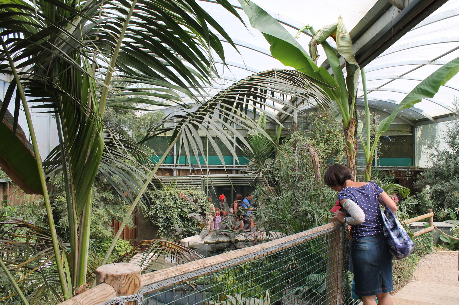 View of Amazon House