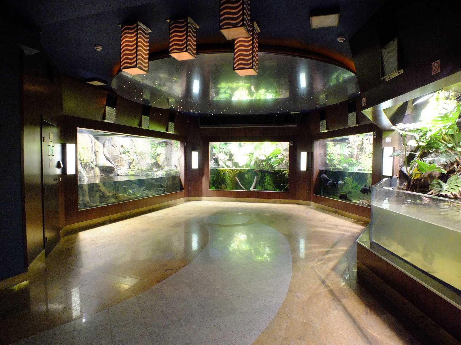 View of Amazon Section - Gdynia Aquarium