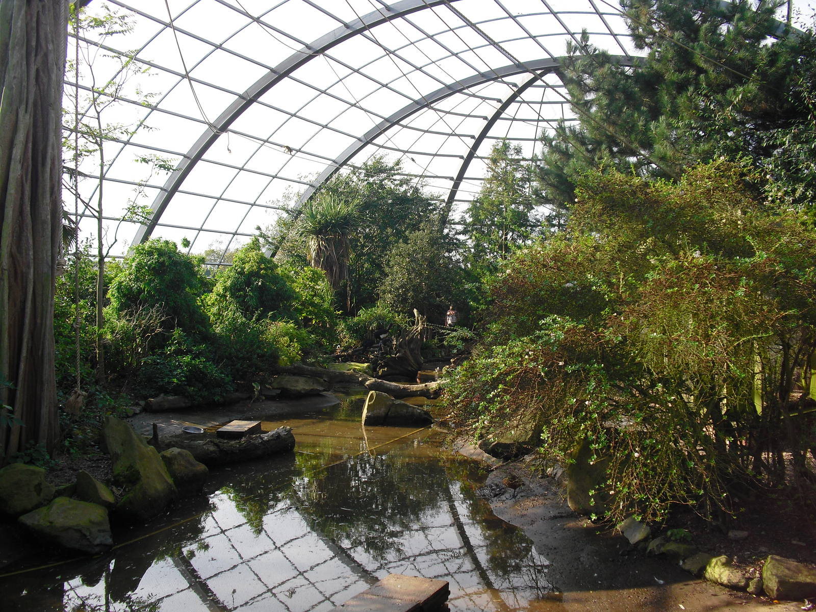 View of Amazonia - 01/10/2011