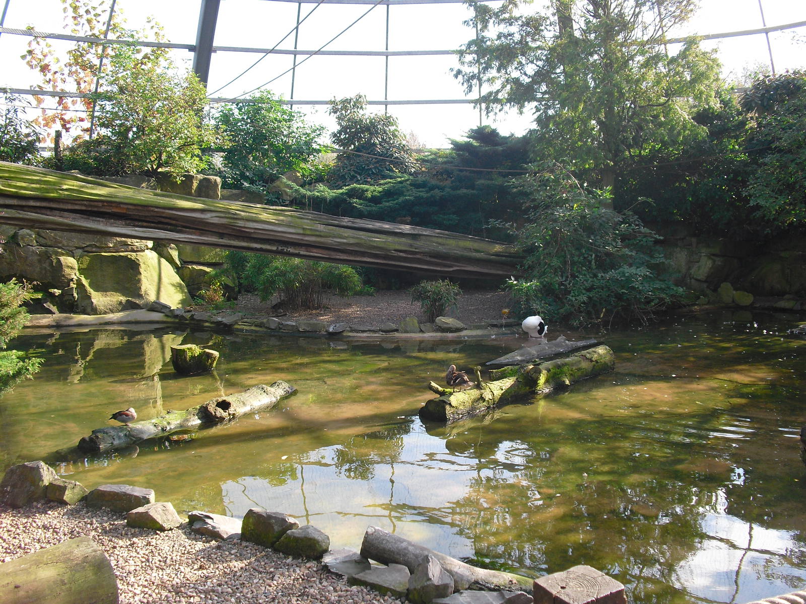 View of Amazonia - 01/10/2011