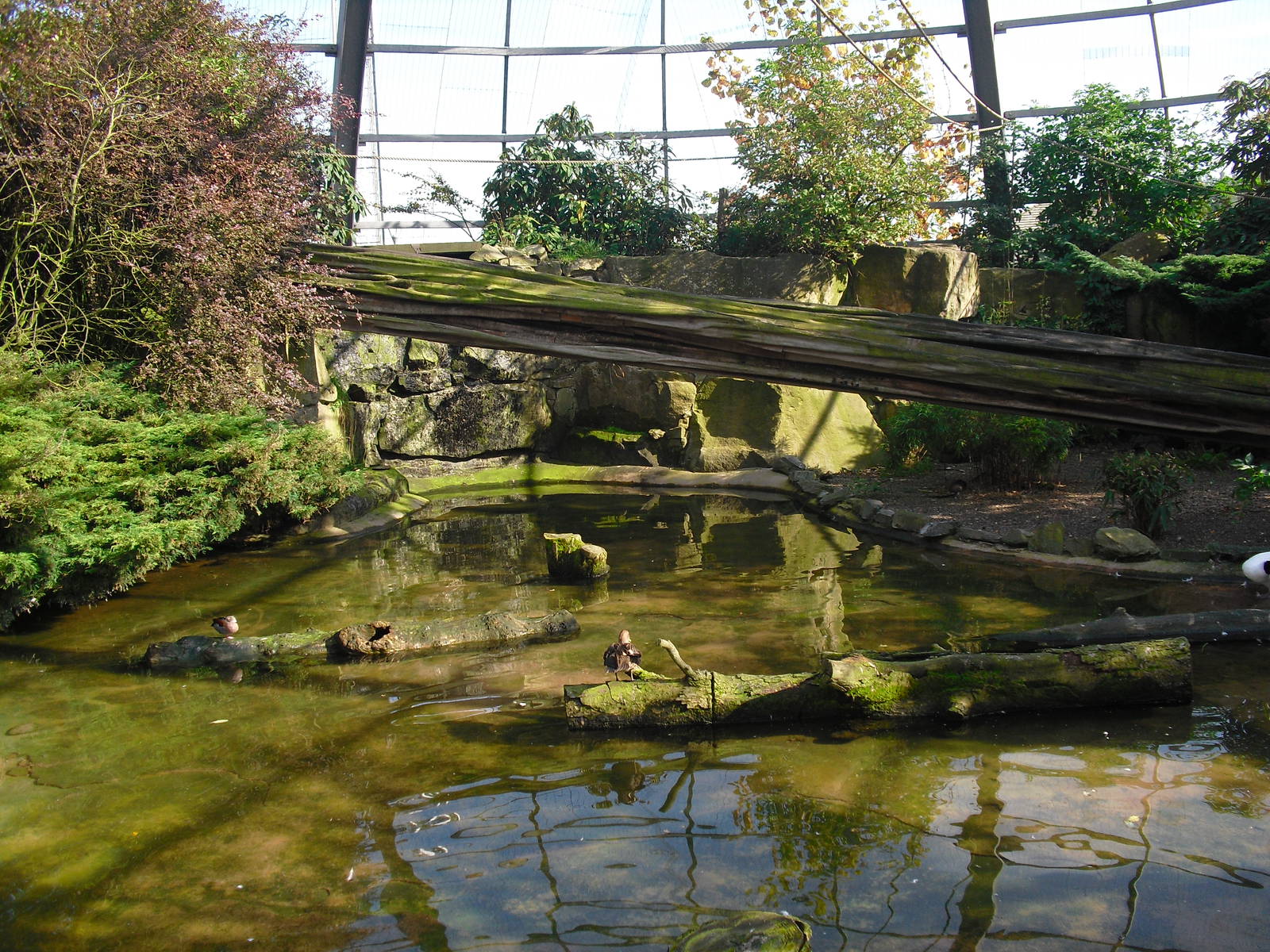 View of Amazonia - 01/10/2011