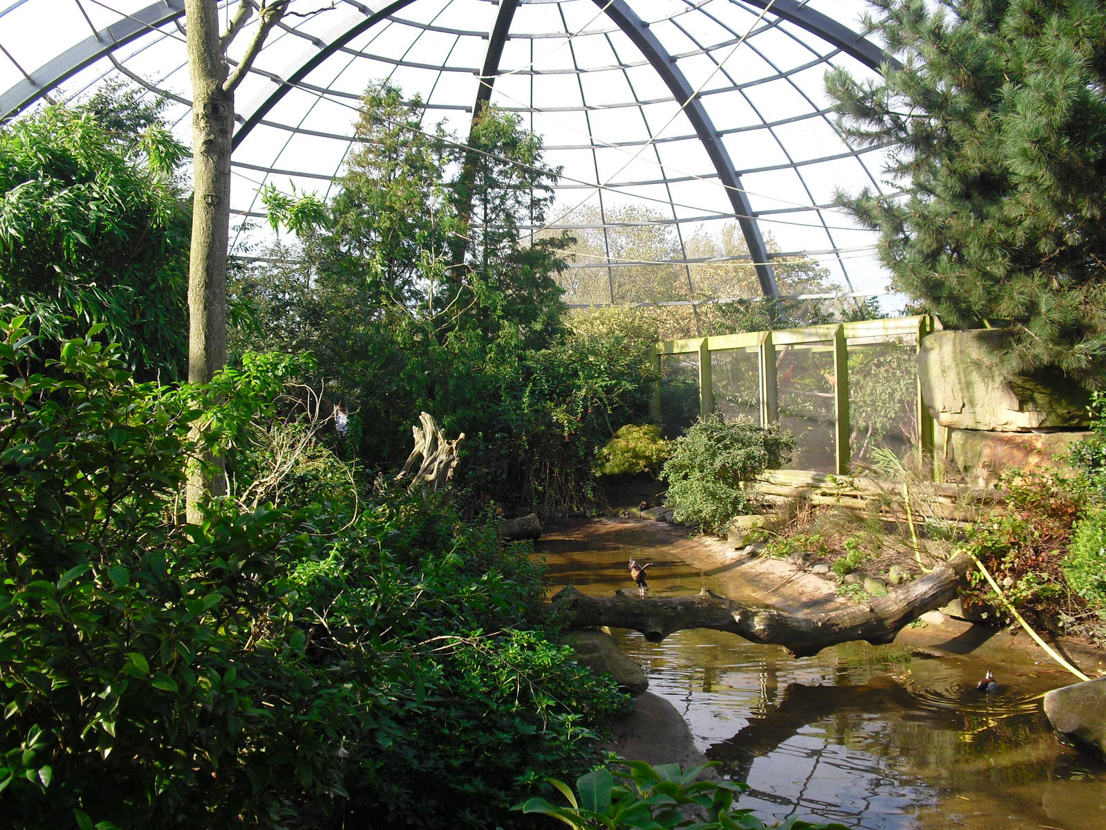 View of Amazonia - 01/10/2011