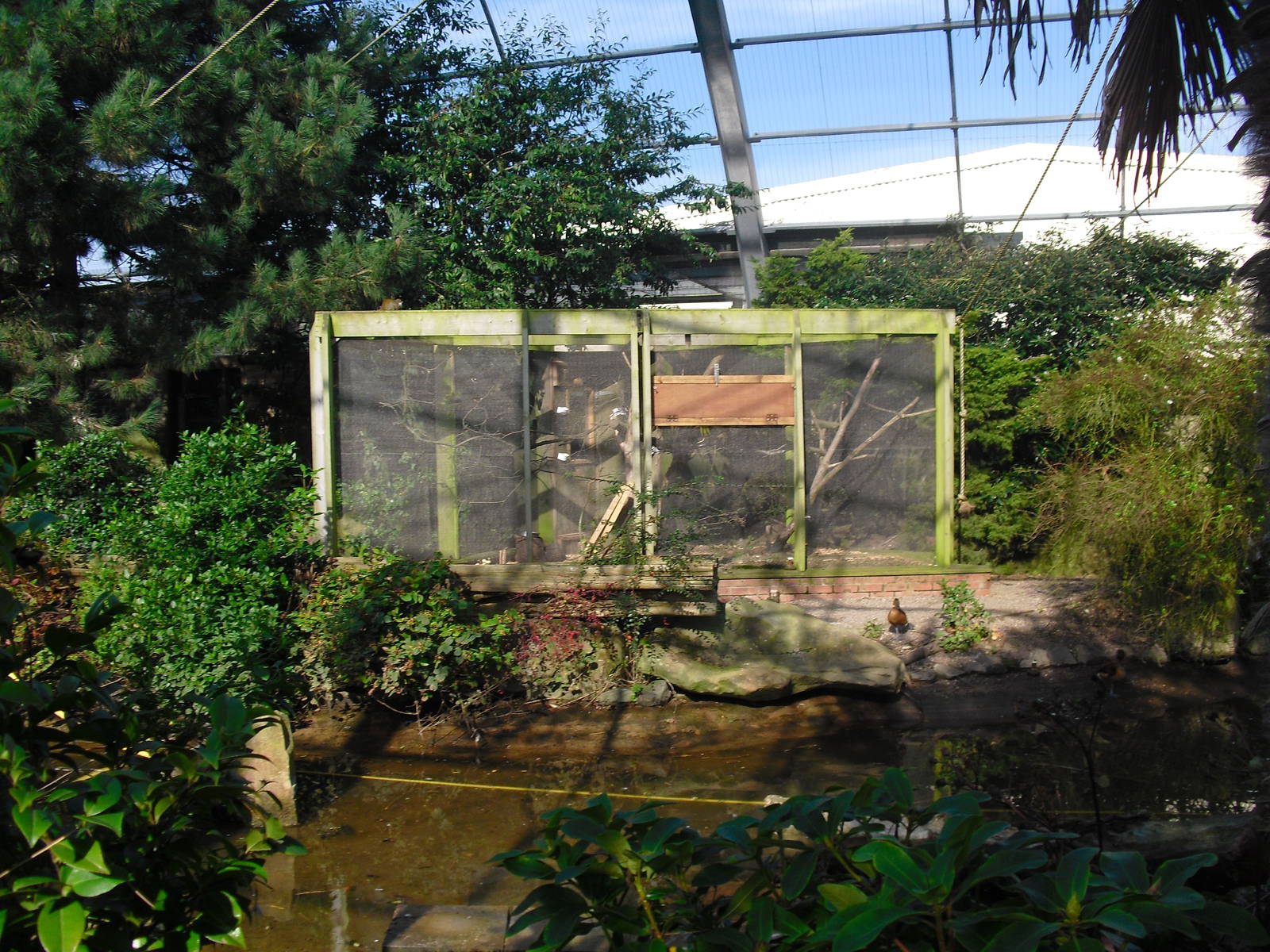 View of Amazonia - 01/10/2011