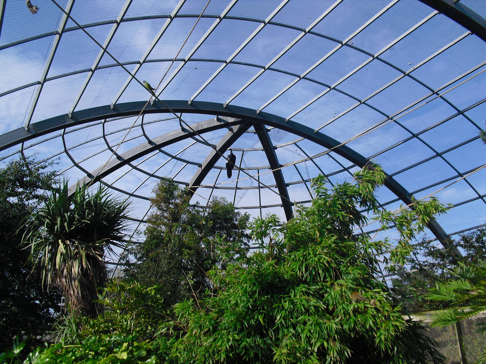 View of Amazonia - 01/10/2011