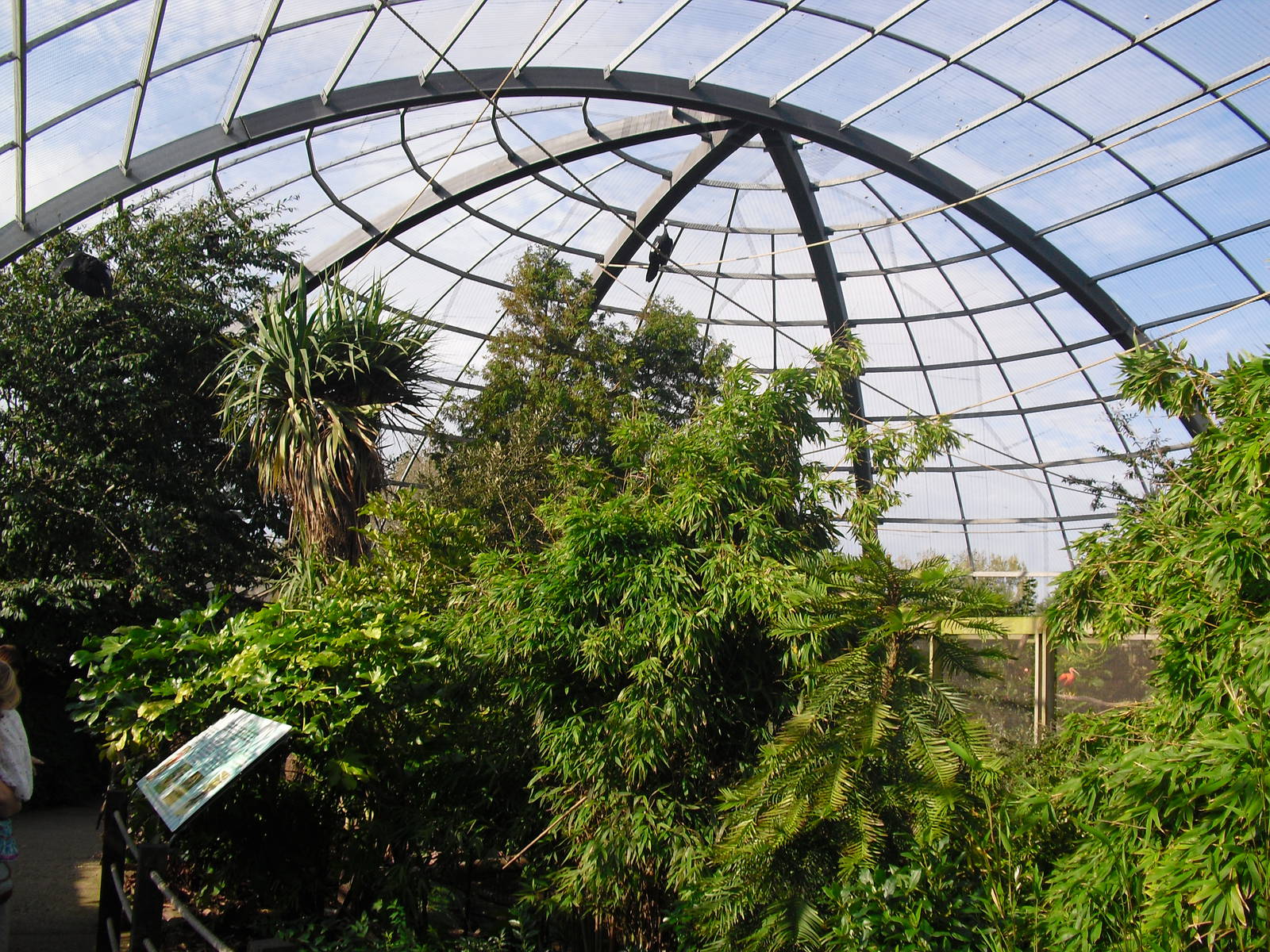 View of Amazonia - 01/10/2011